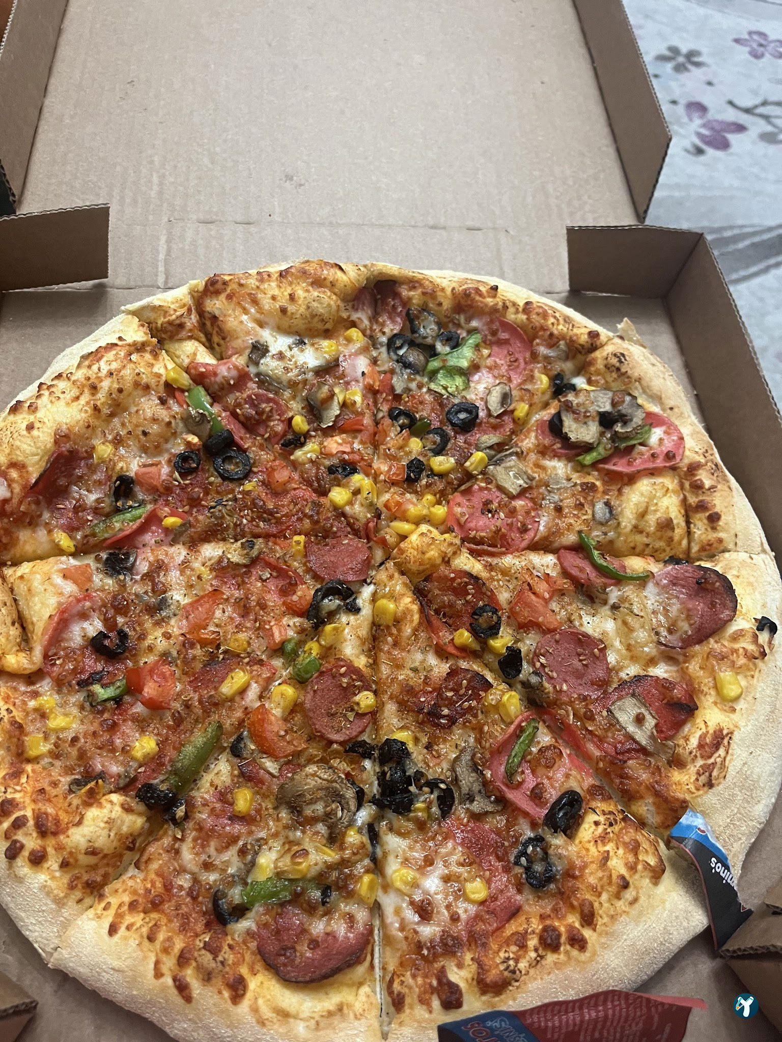 Domino'S Pizza Akyurt