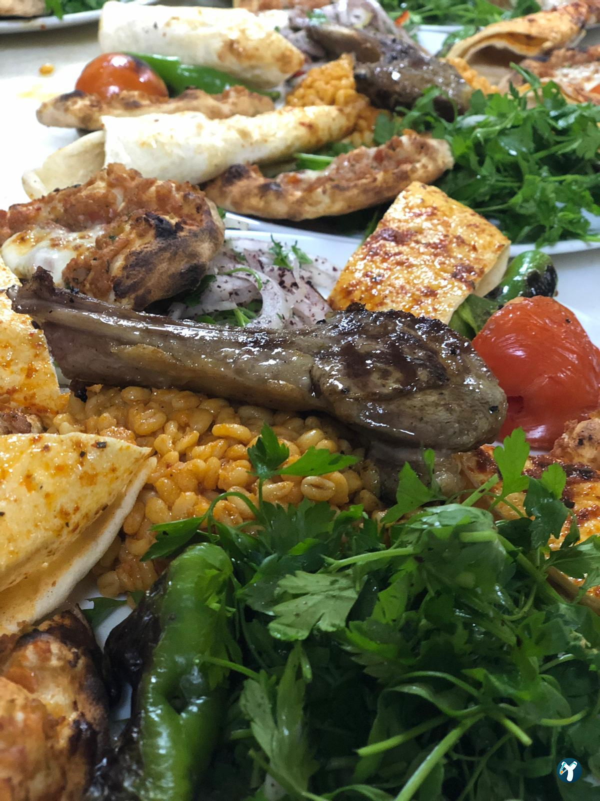 Yörükoğlu Kebap Salonu