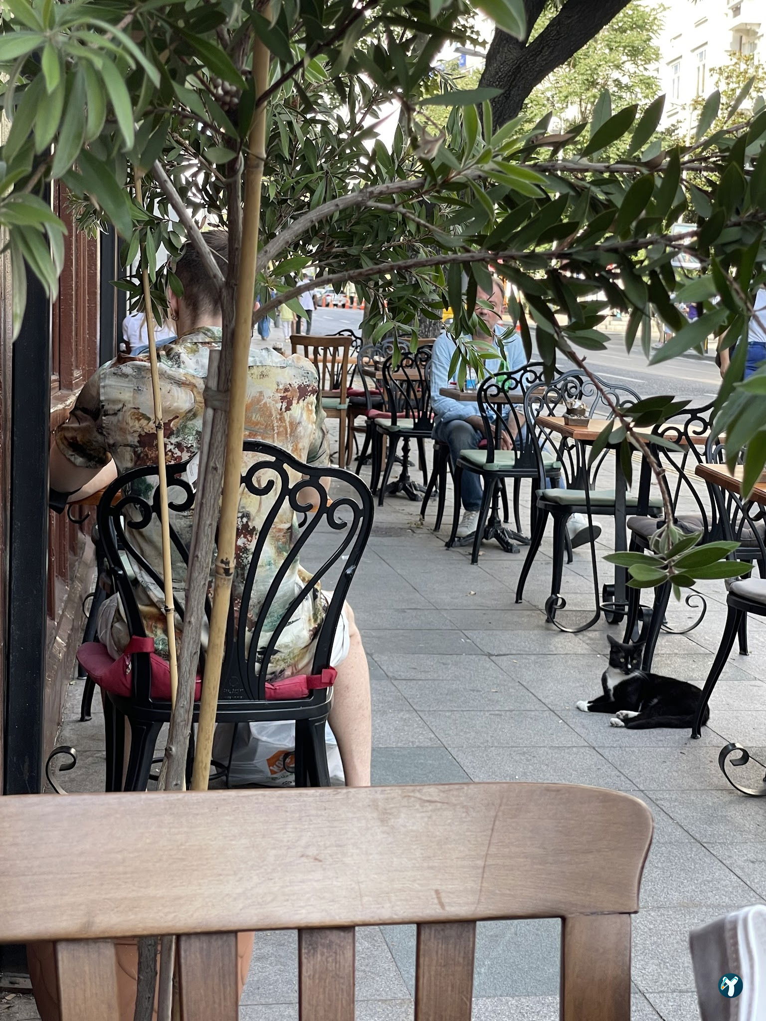 Alman Cafe Valikonağı