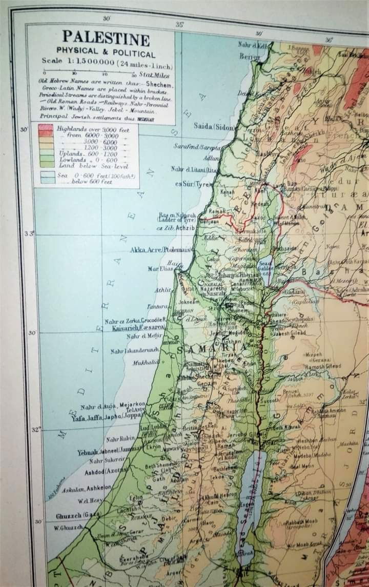 Alman Cafe Valikonağı