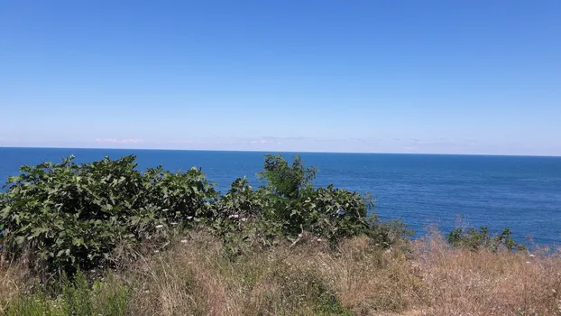 Babizer Konaklama Ve Restaurant resimleri