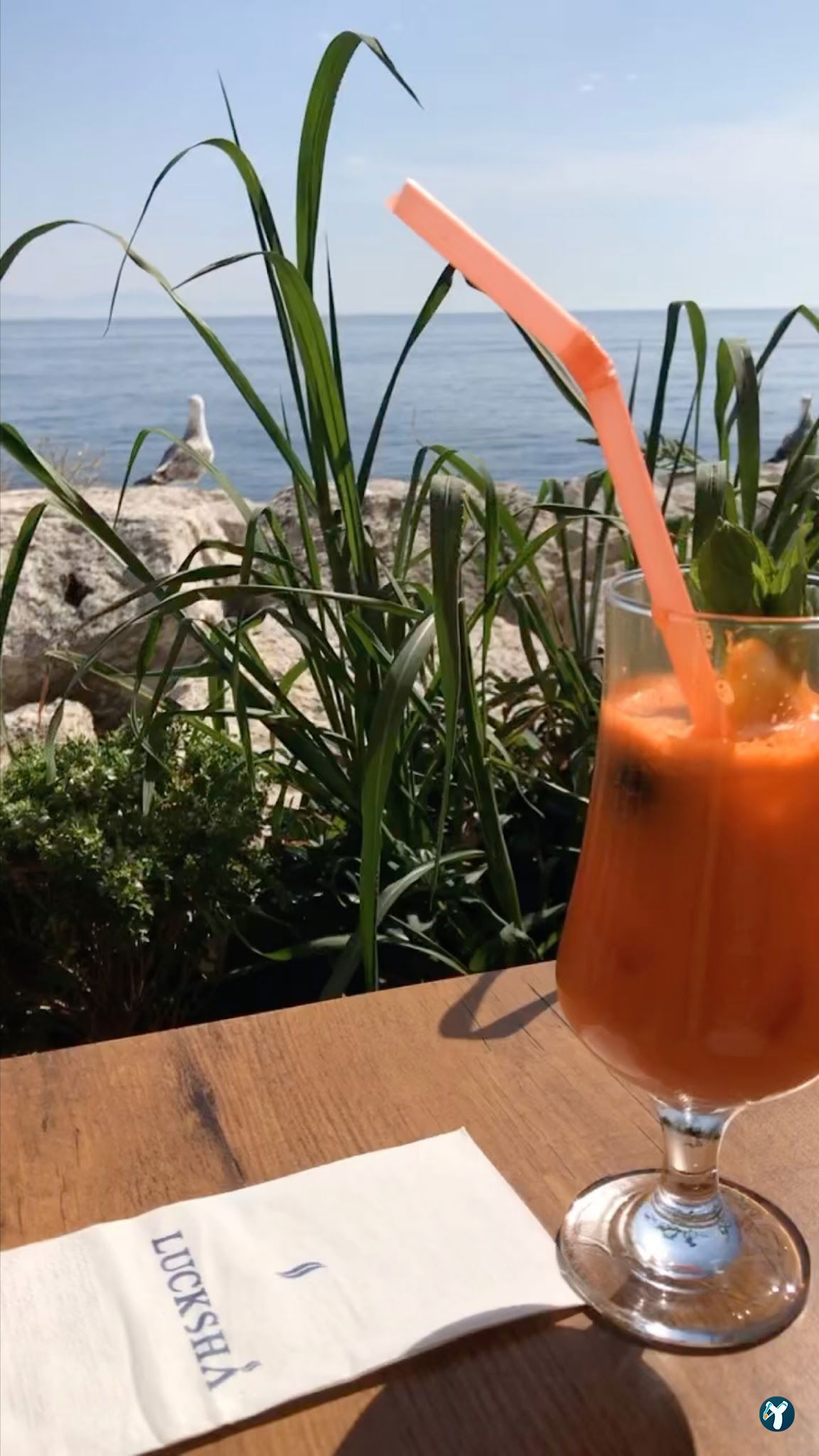 Lucksha Cafe & Restaurant