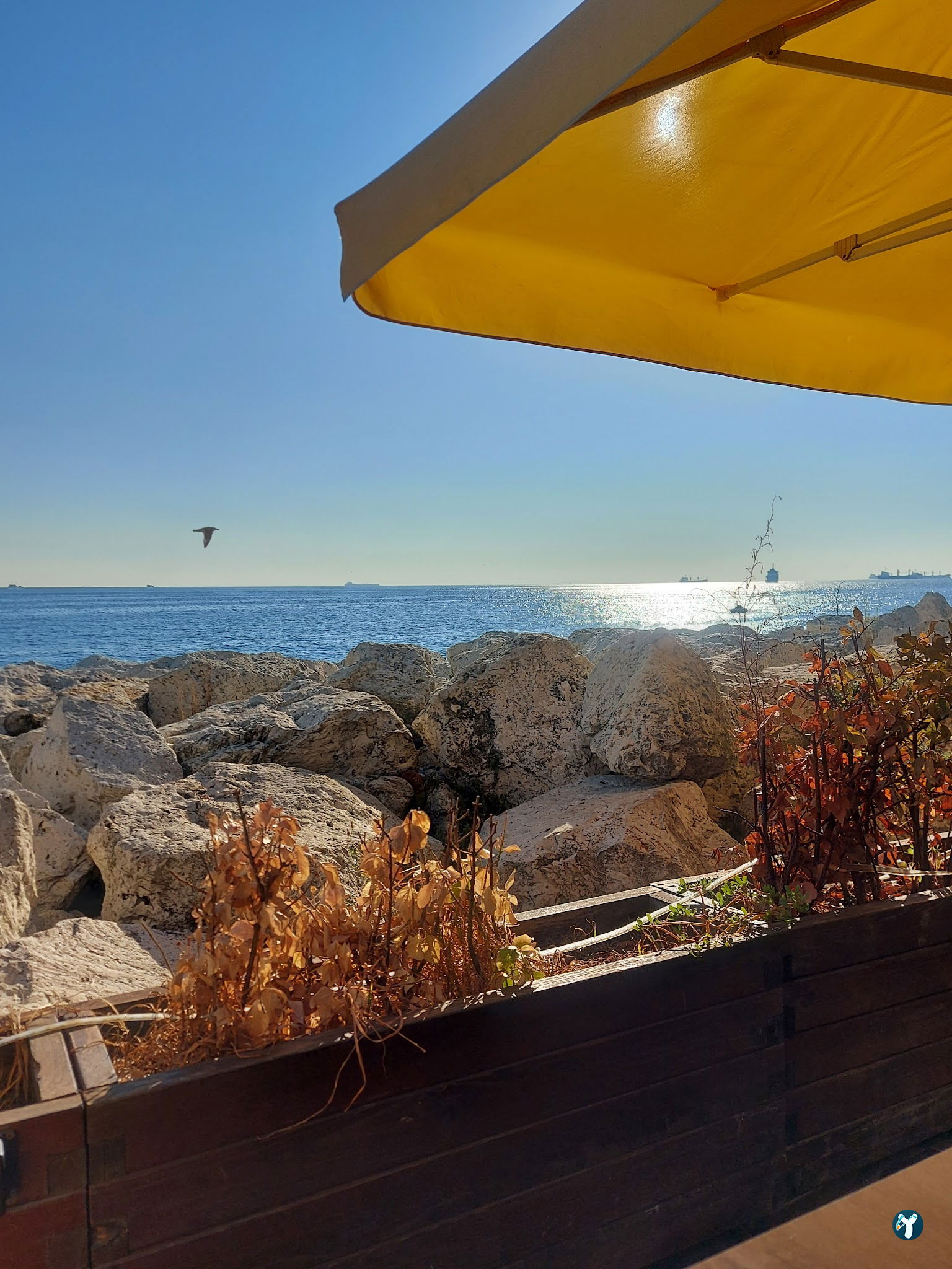 Lucksha Cafe & Restaurant