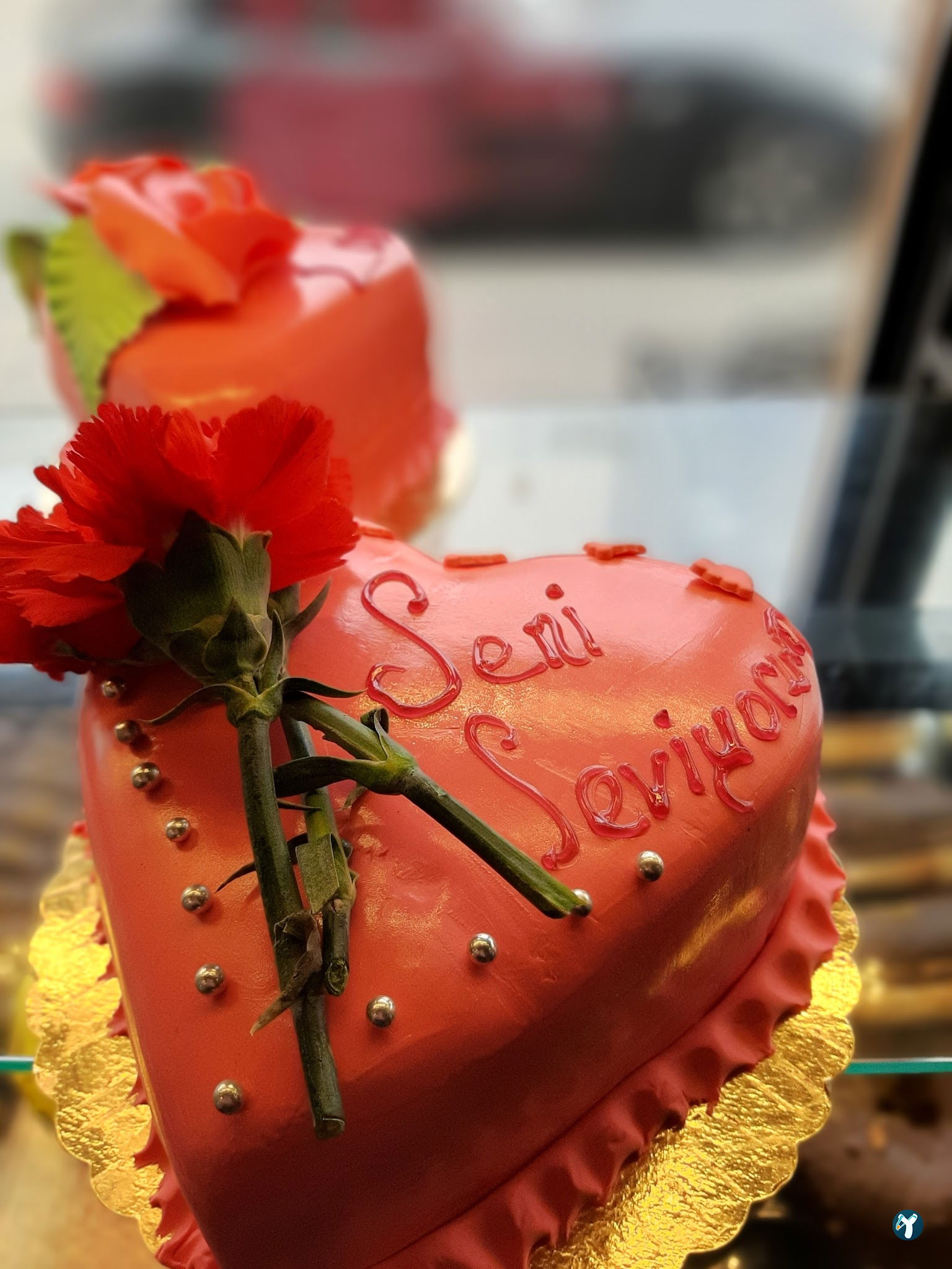 Rota Fırın ( Pasta - Cafe )