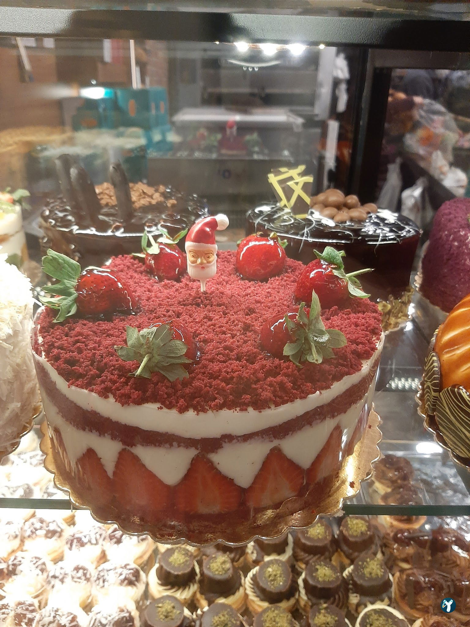 Rota Fırın ( Pasta - Cafe )