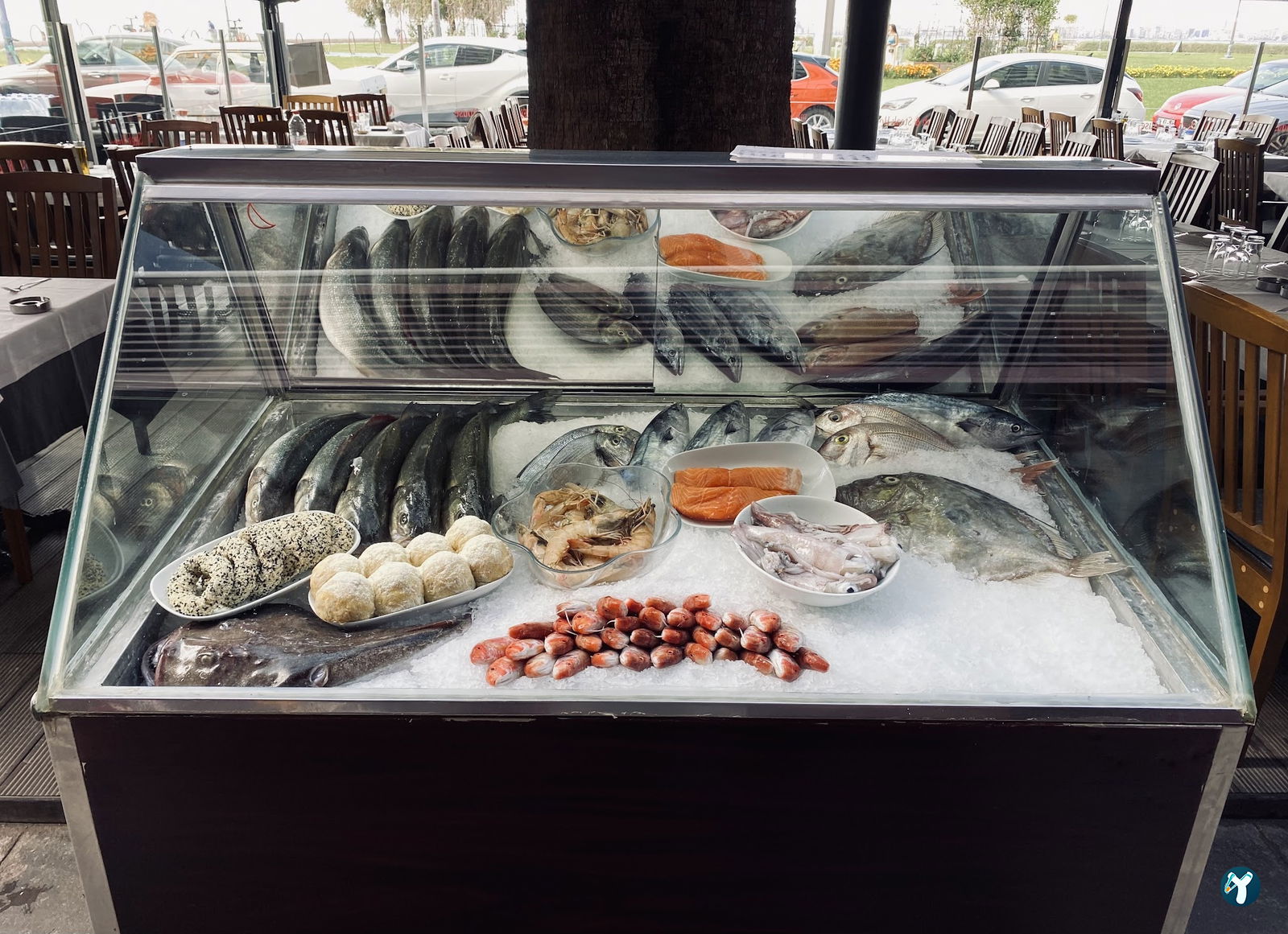 Fish & Steak House