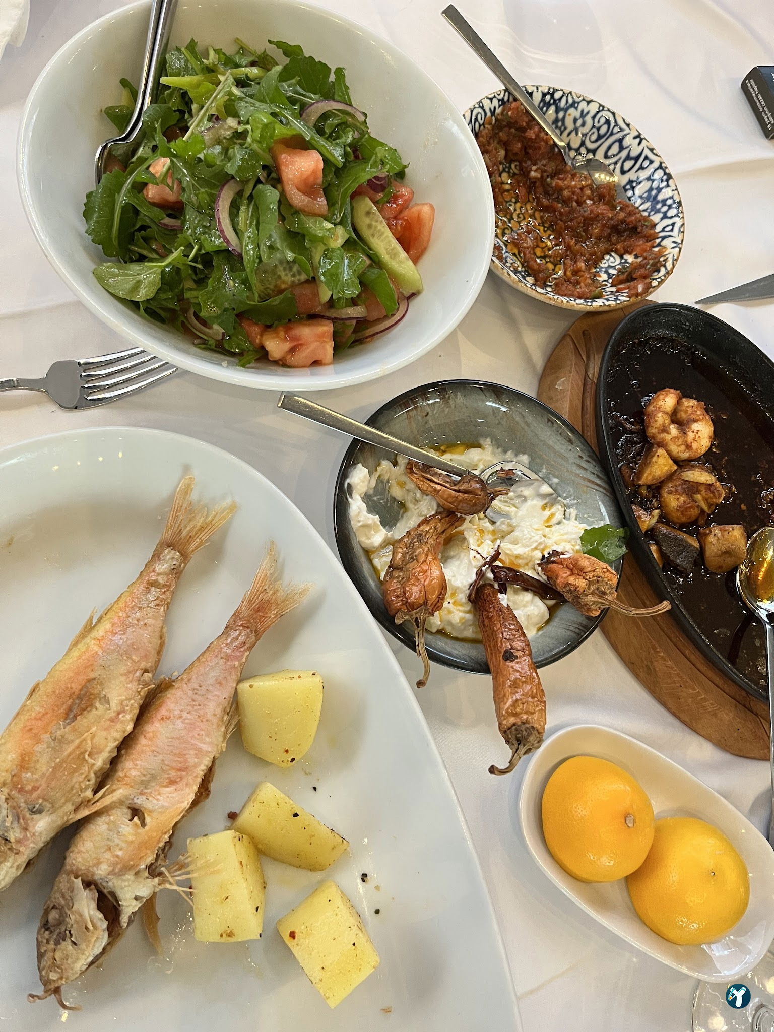 Fish & Steak House