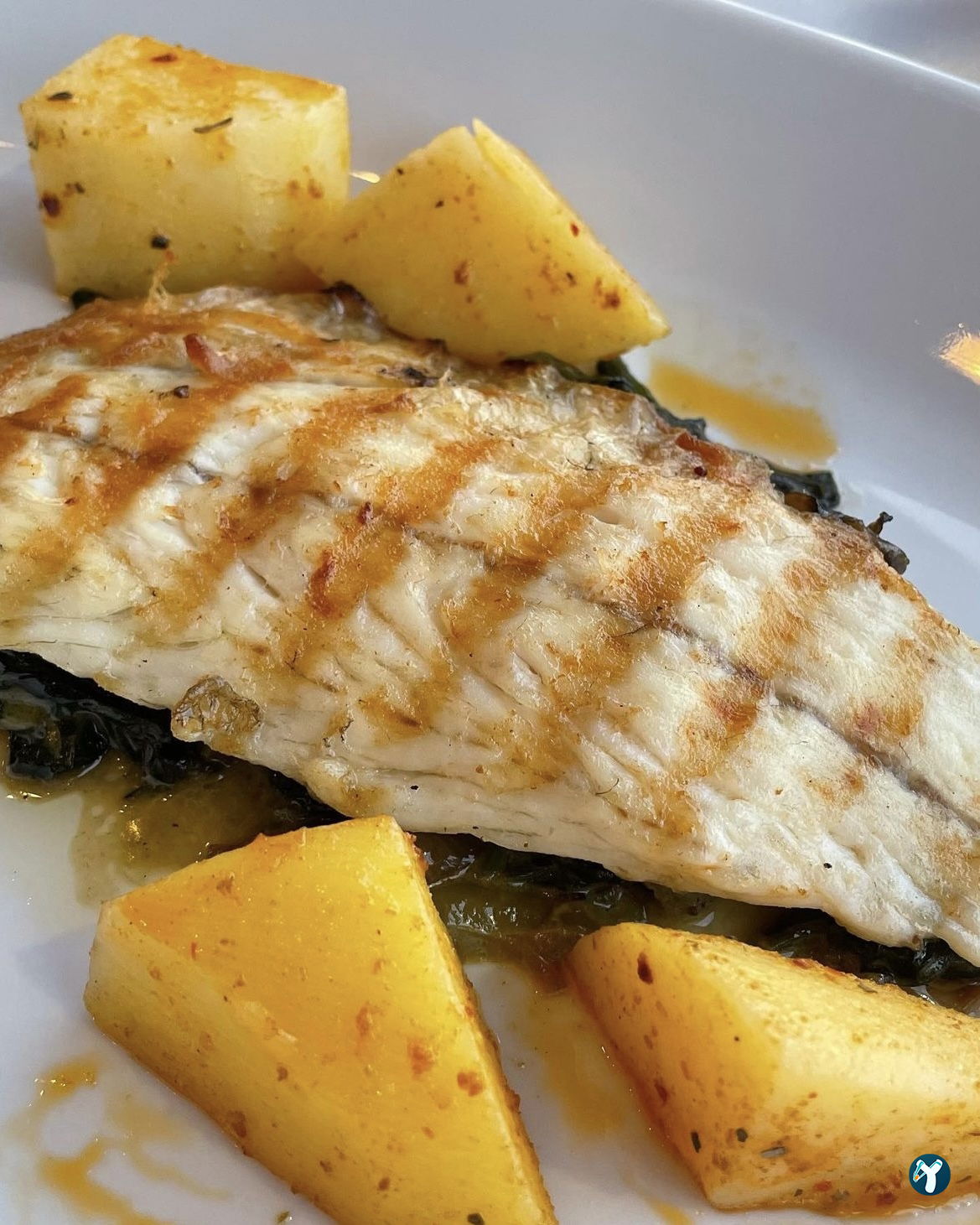 Fish & Steak House