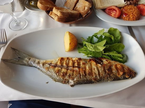 Fish & Steak House