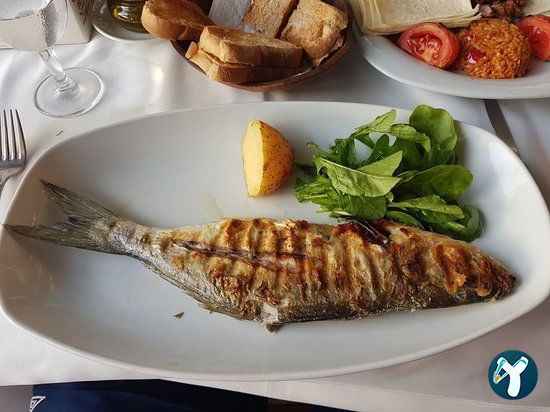Fish & Steak House