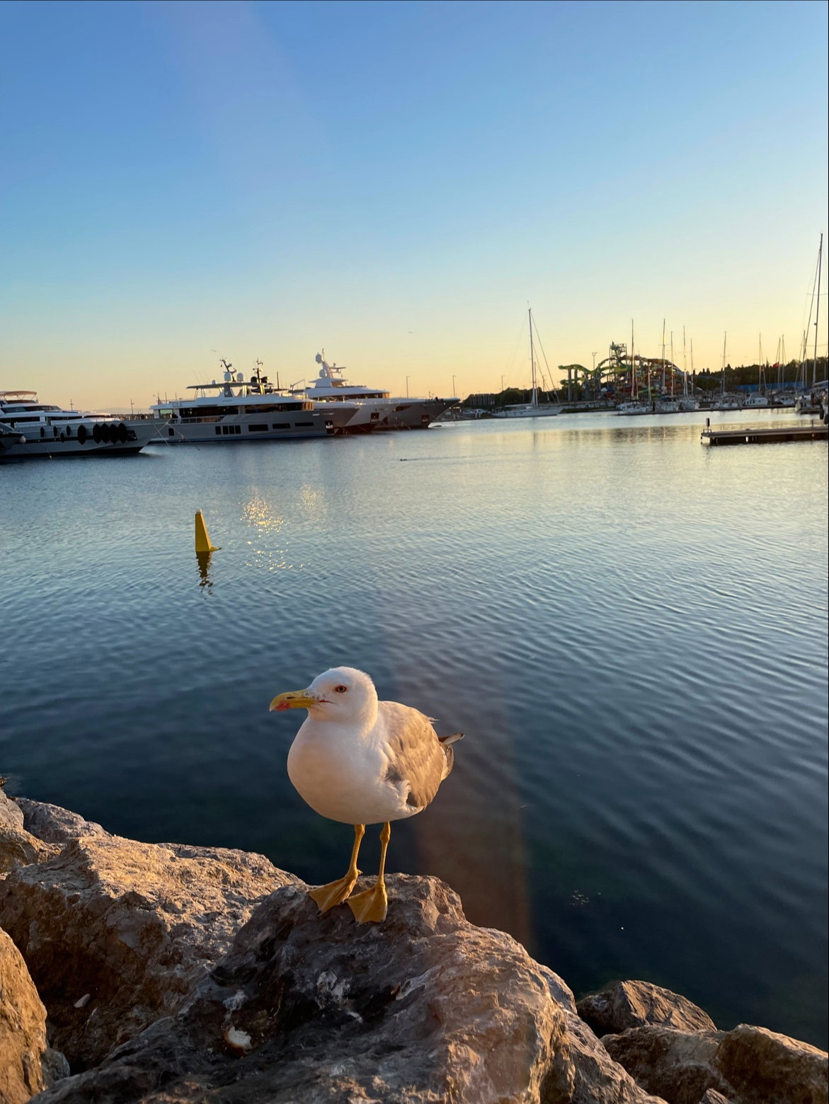 Sandzak Balkan Mutfağı