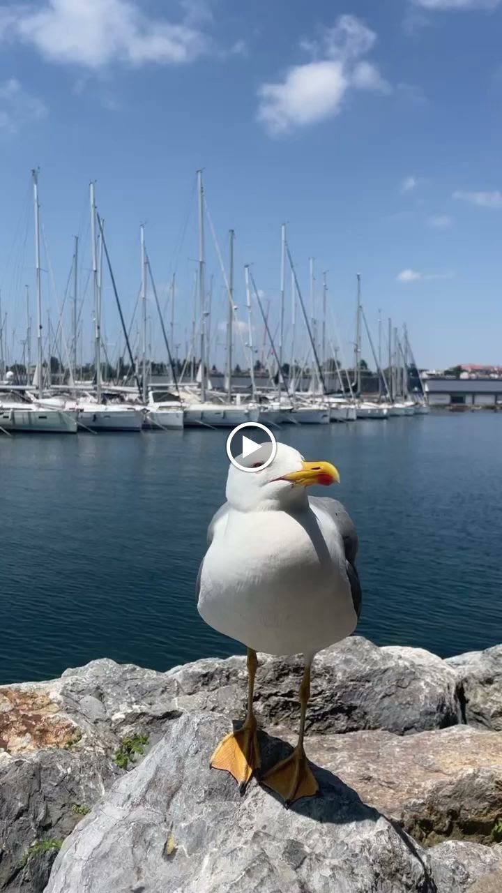 Sandzak Balkan Mutfağı