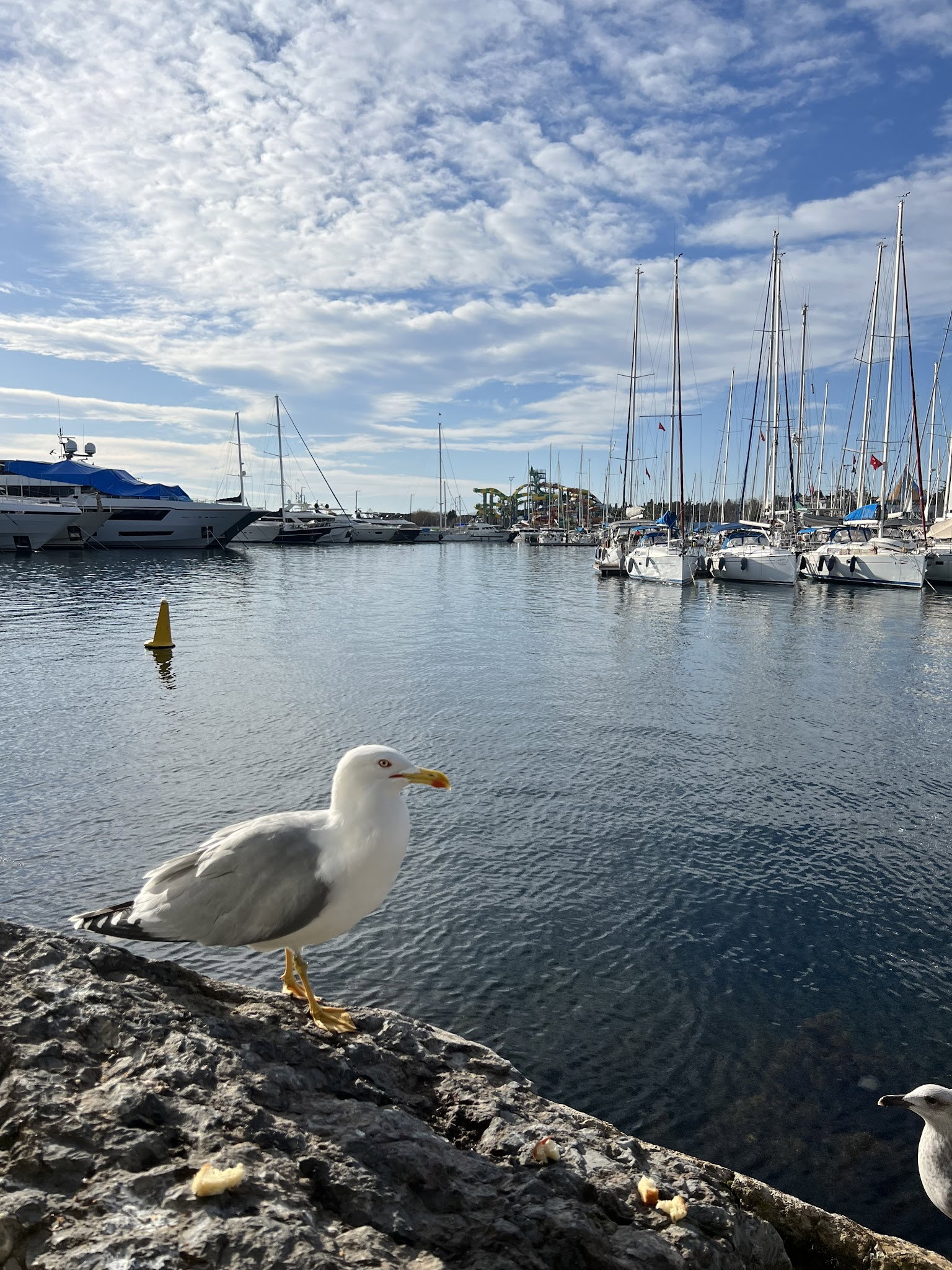 Sandzak Balkan Mutfağı