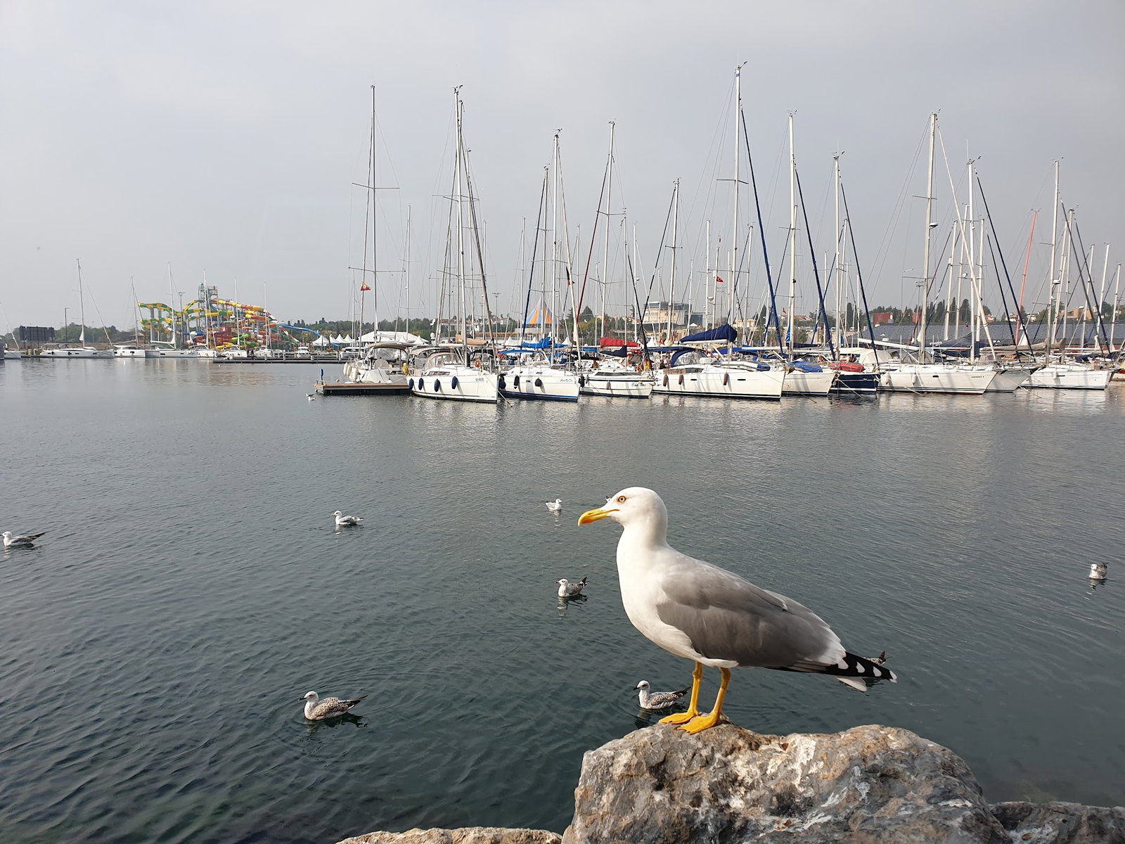 Sandzak Balkan Mutfağı