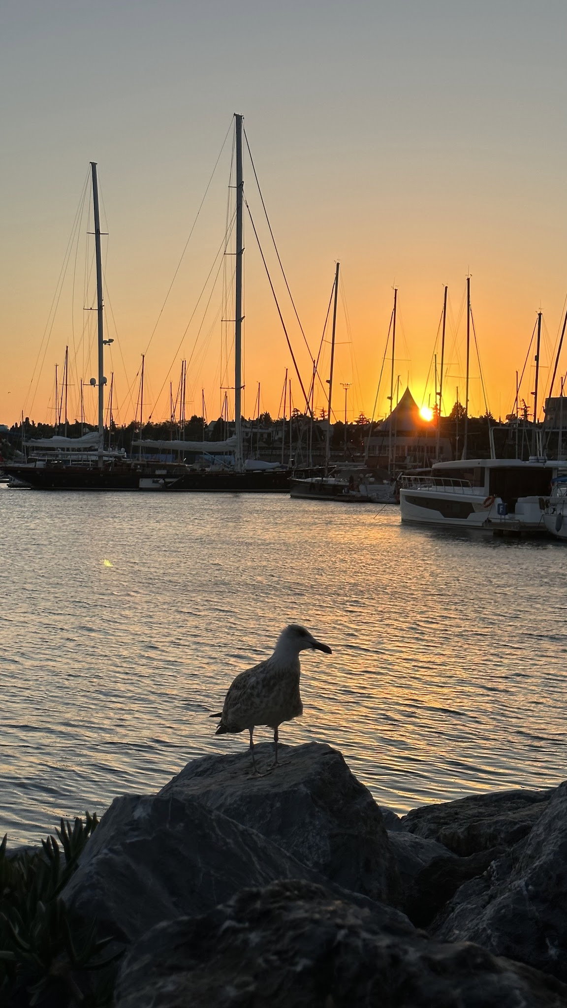 Sandzak Balkan Mutfağı