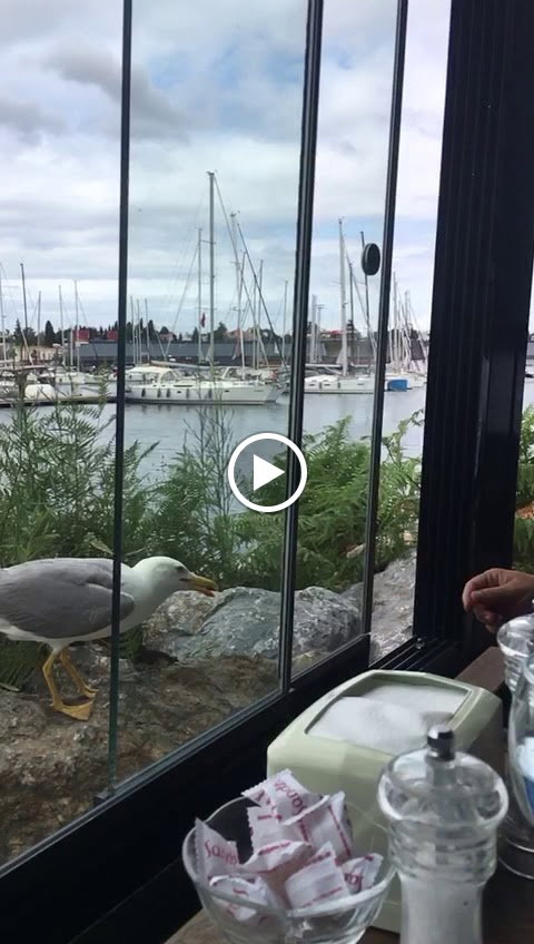 Sandzak Balkan Mutfağı