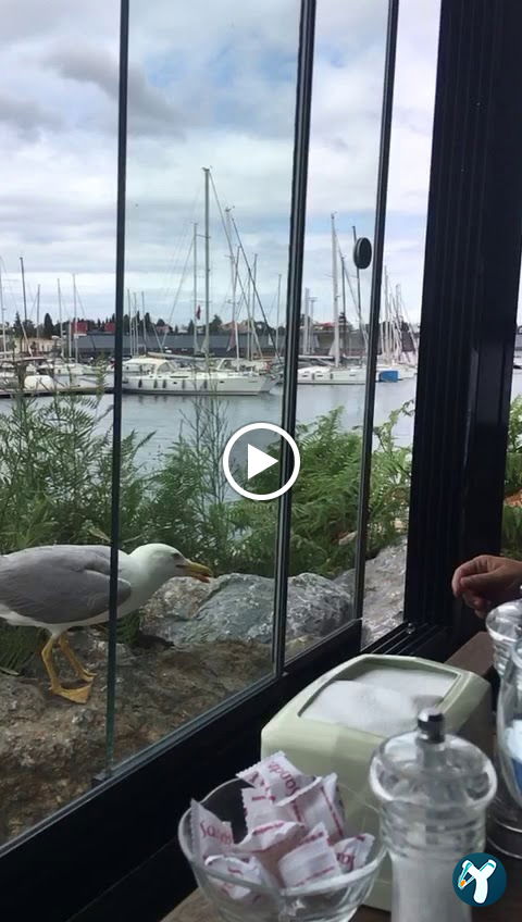 Sandzak Balkan Mutfağı