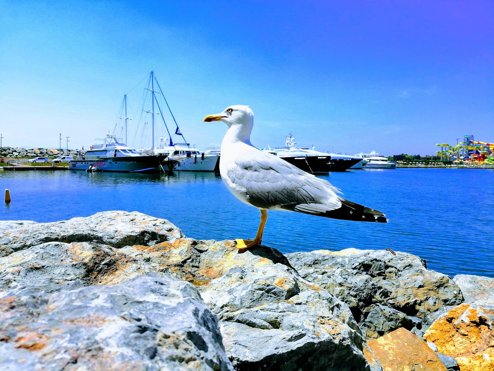 Sandzak Balkan Mutfağı