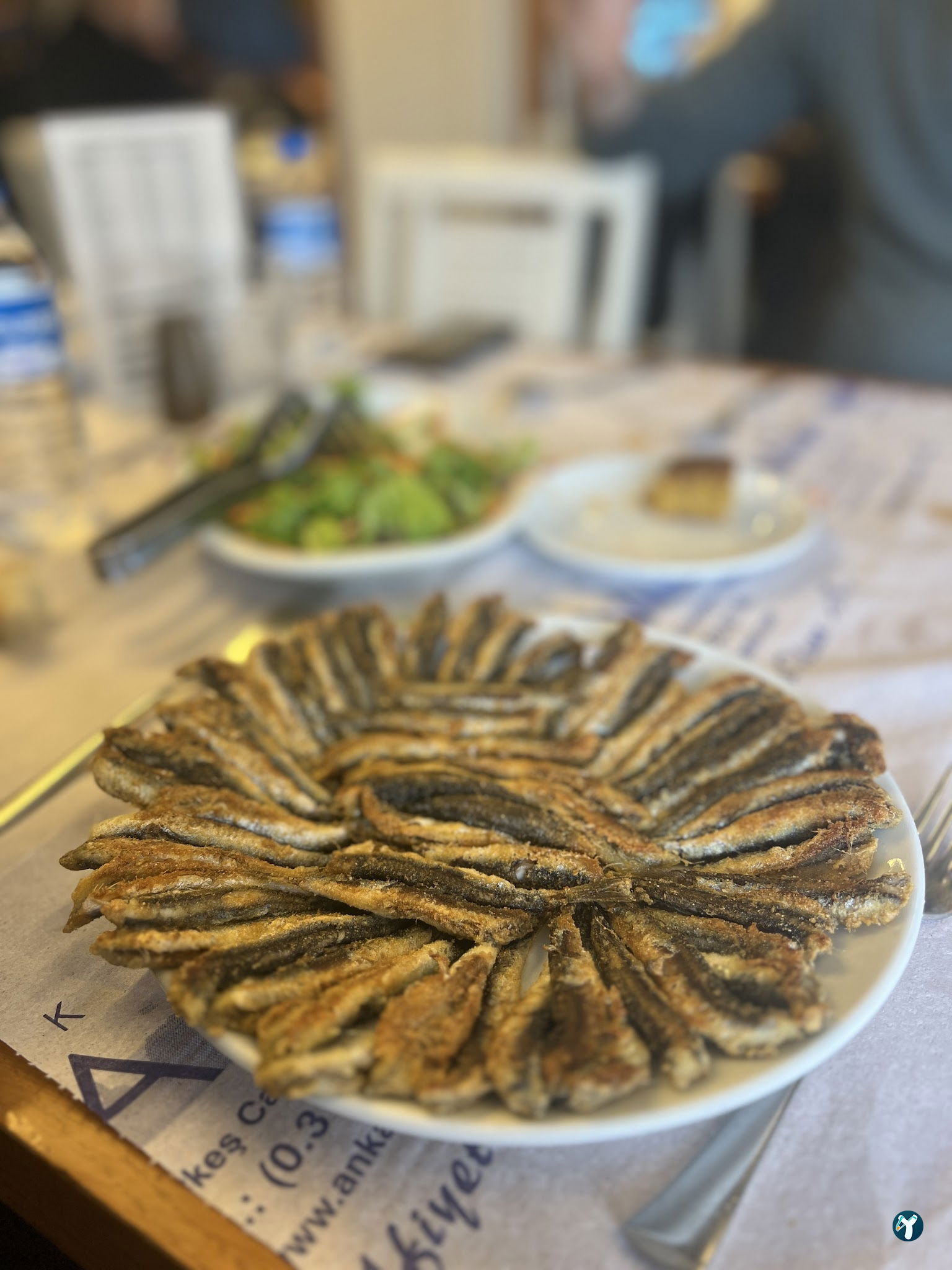Ankara Hamsi