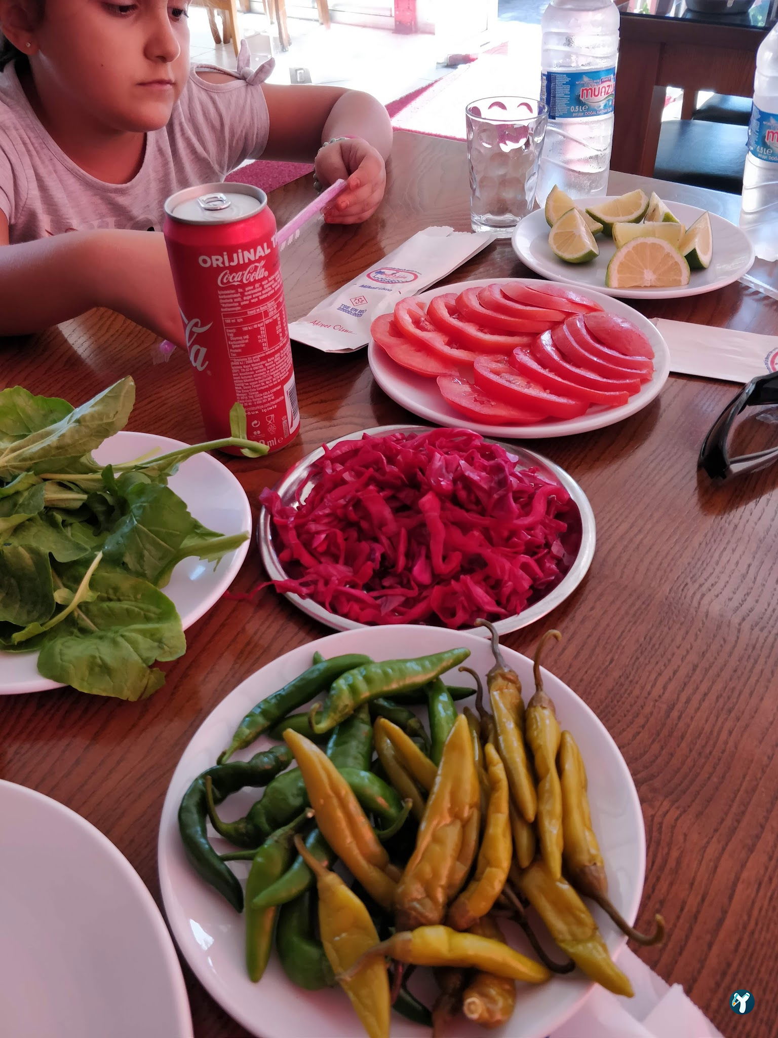 33 Öz Mersin Tantuni
