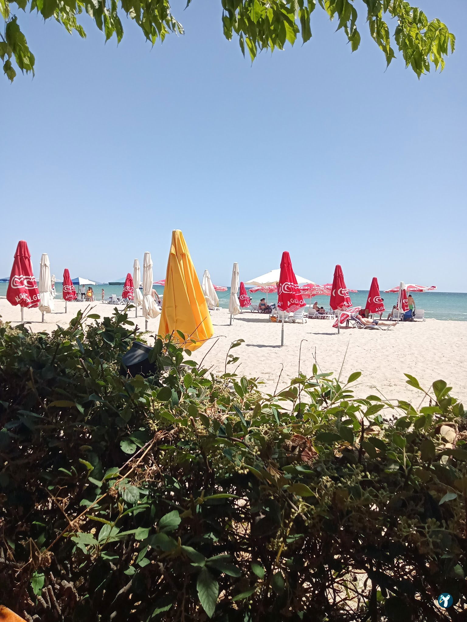 Aktaş Sahil Cafe
