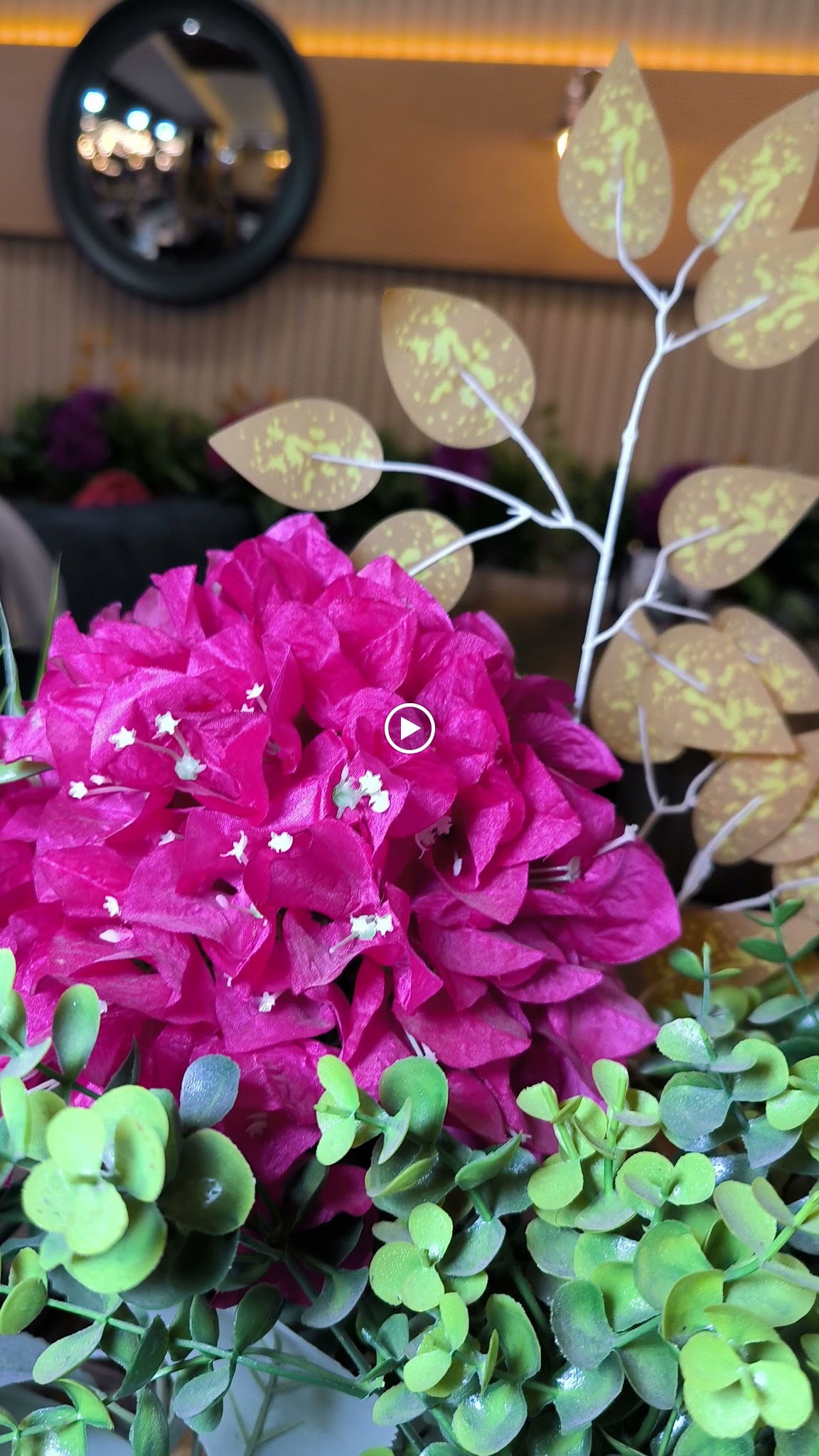 Meşhur Cengiz Yıldırım Aspava