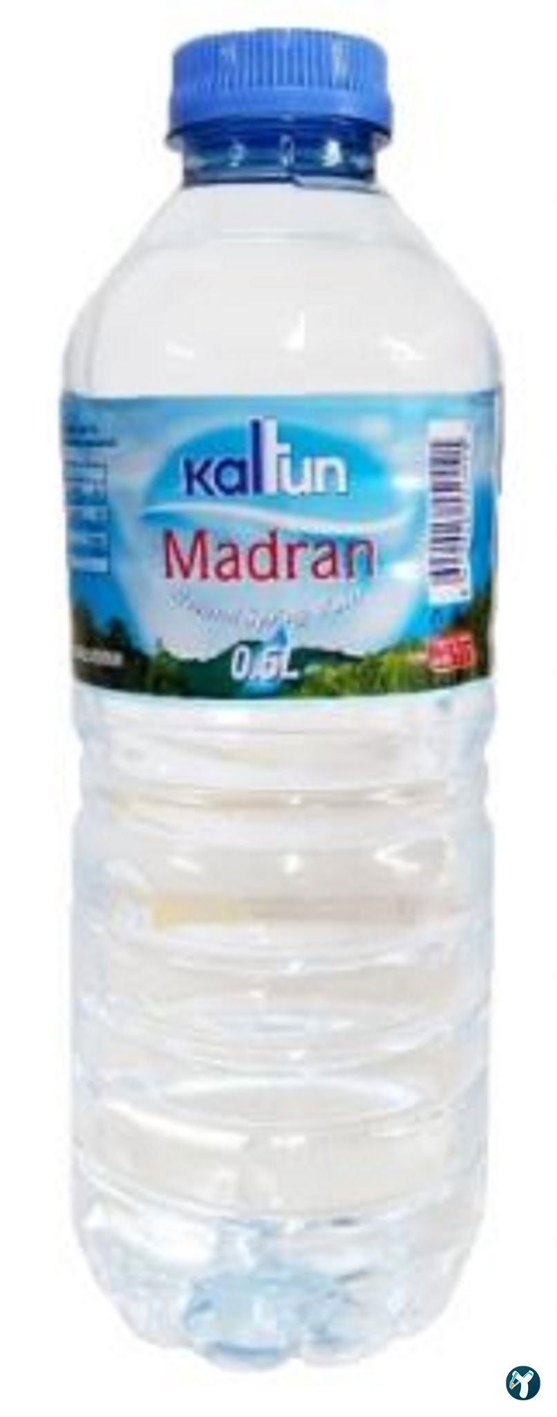 Meze Aydın