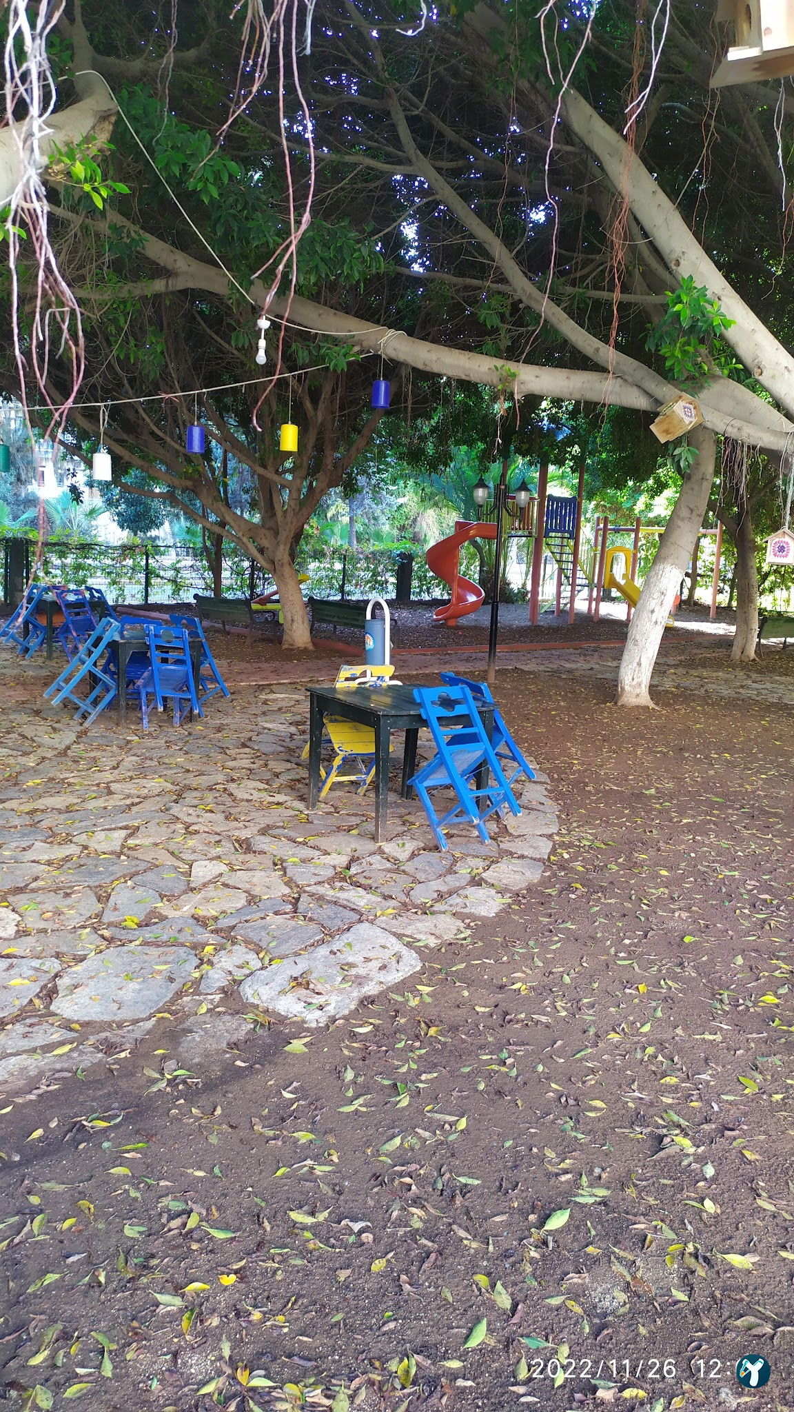 Down Cafe