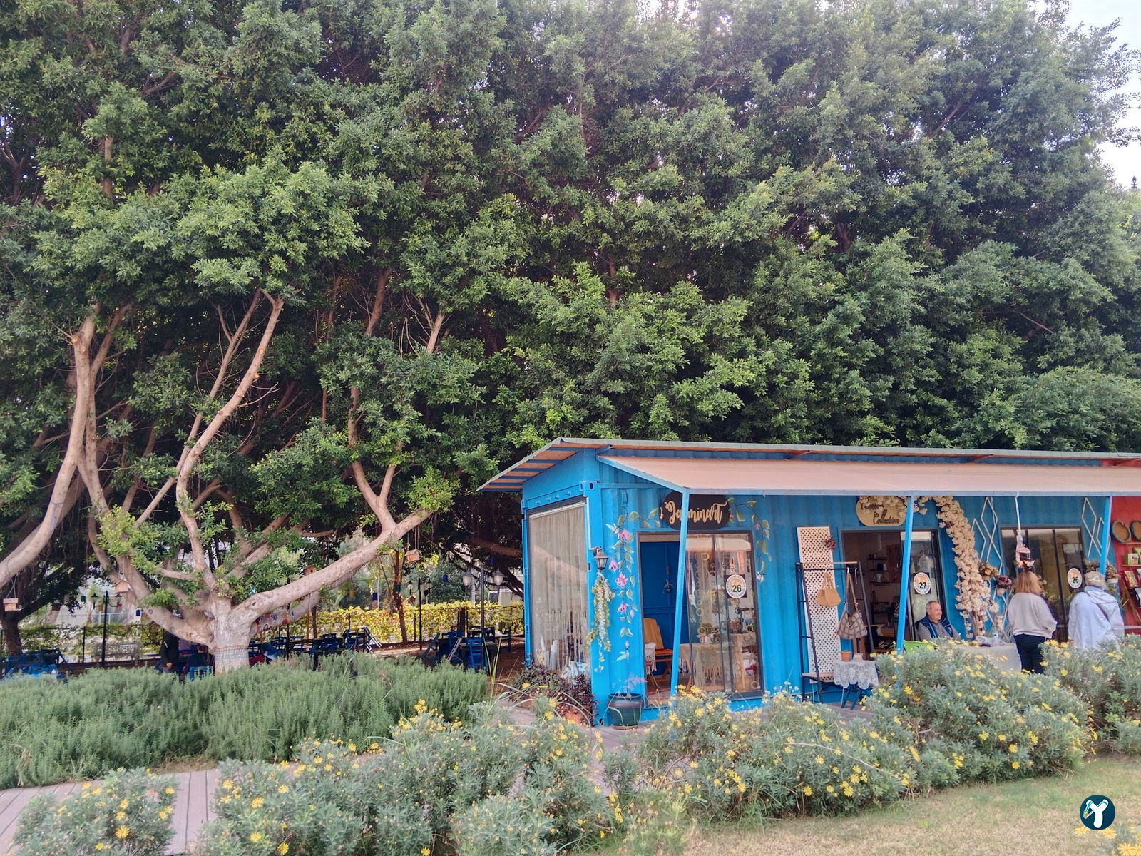 Down Cafe