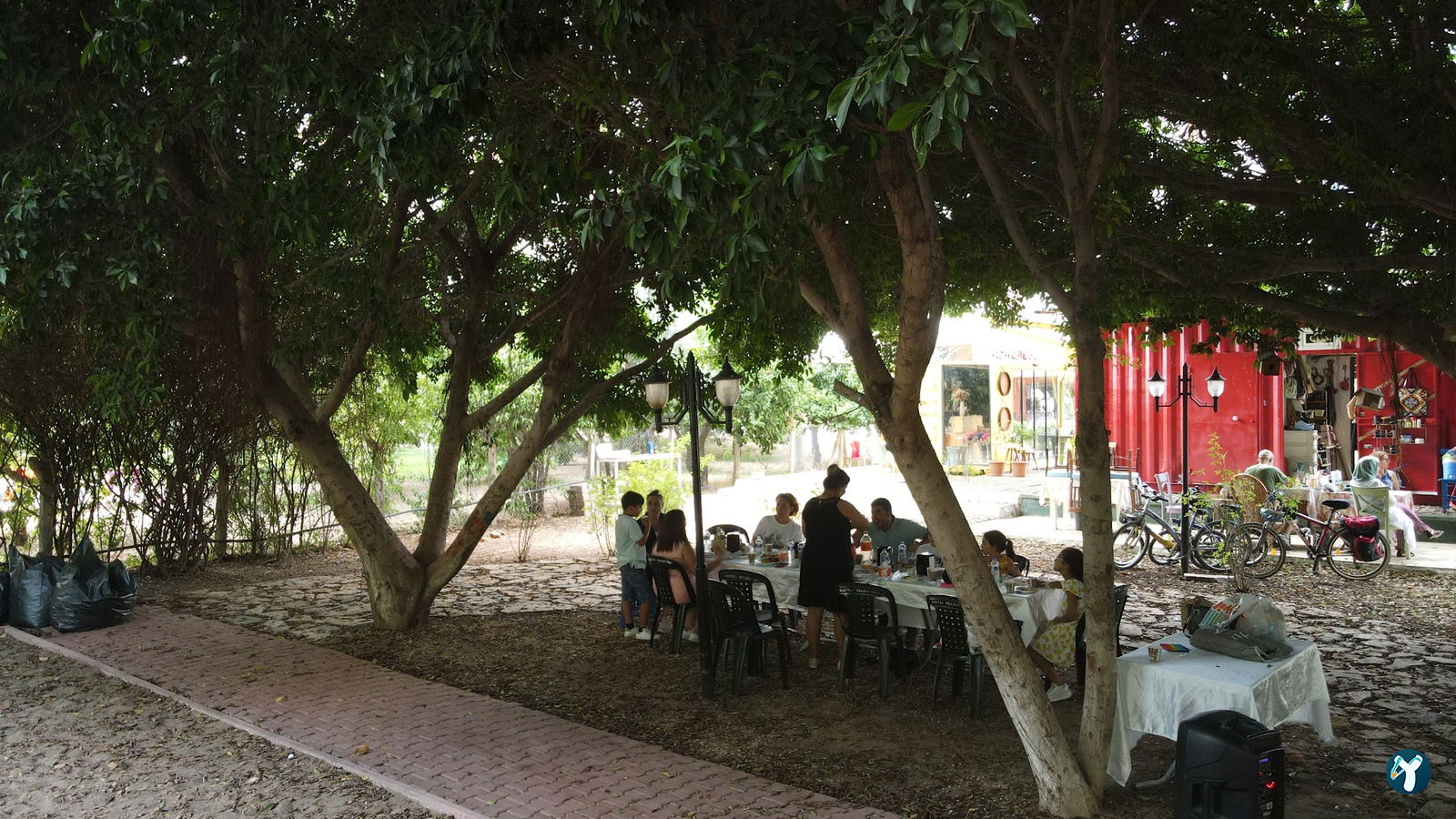 Down Cafe