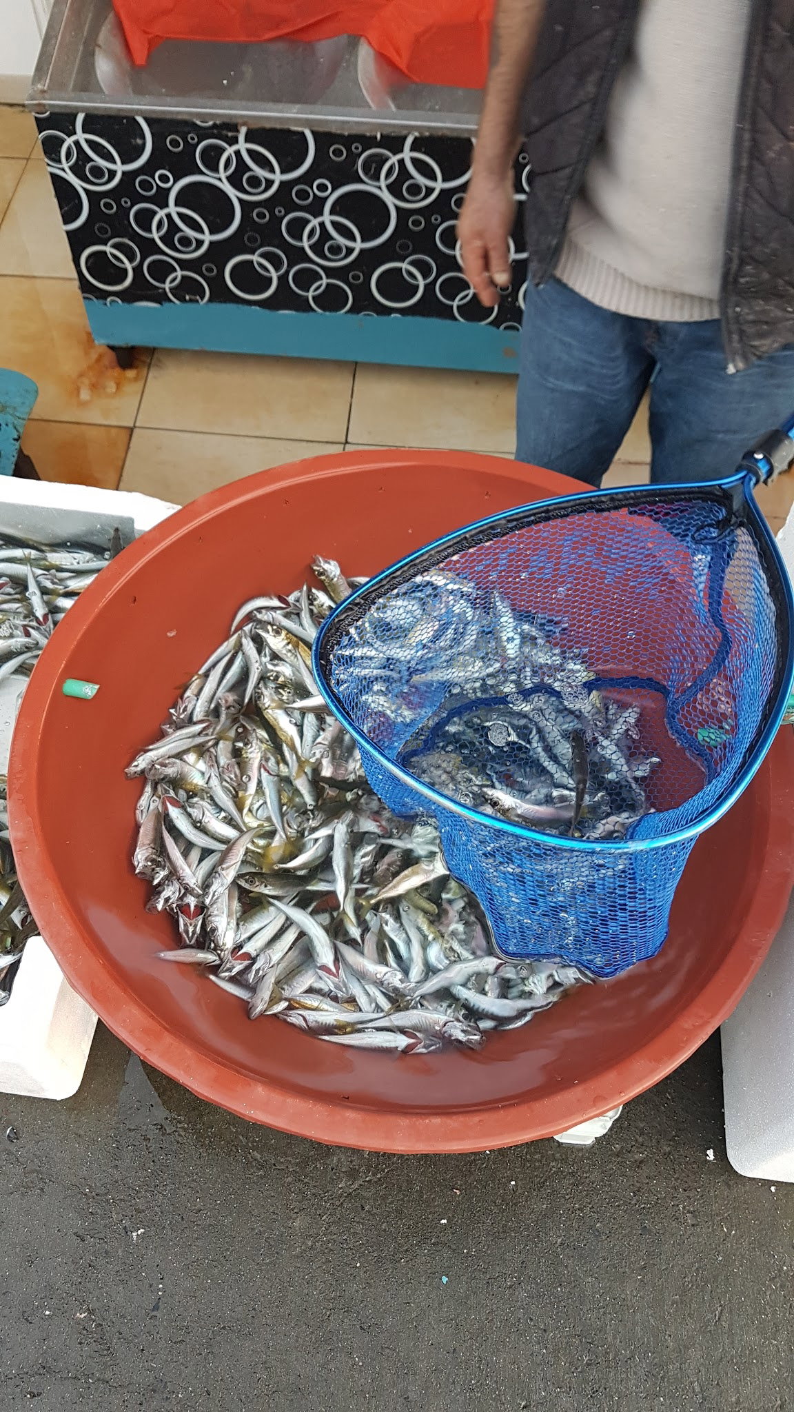 Cookah Cafe & Bistro