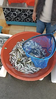 Cookah Cafe & Bistro resimleri