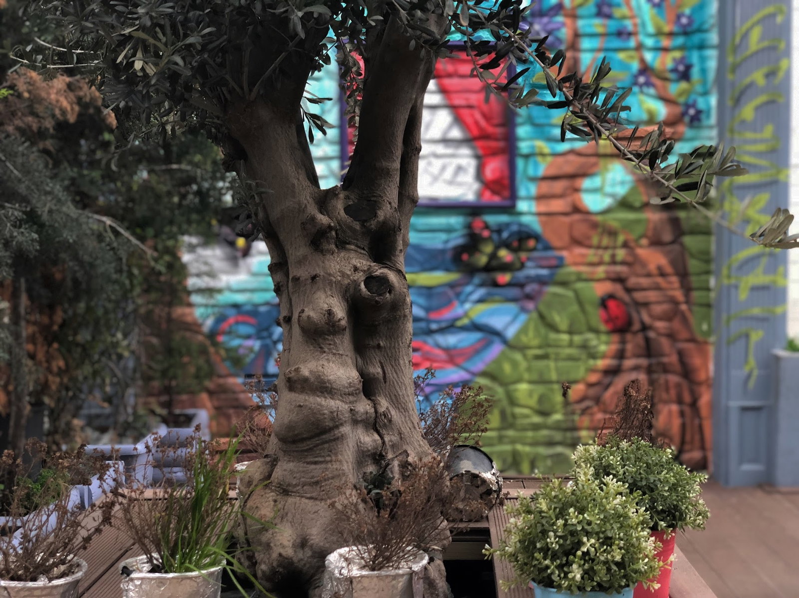 Cookah Cafe & Bistro