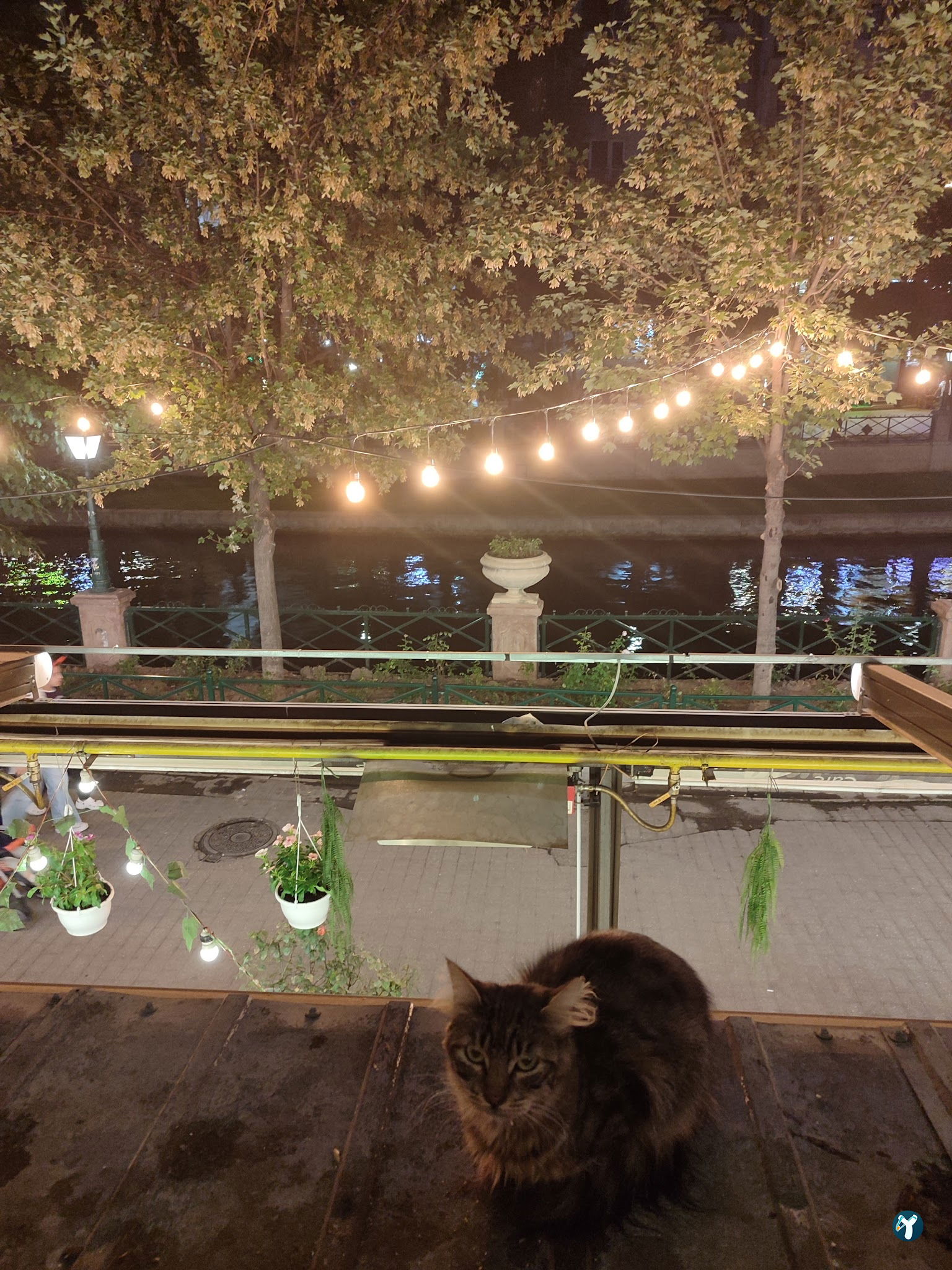 Dante Cafe