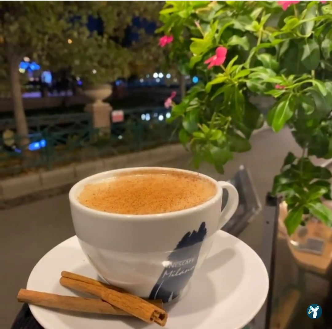 Dante Cafe