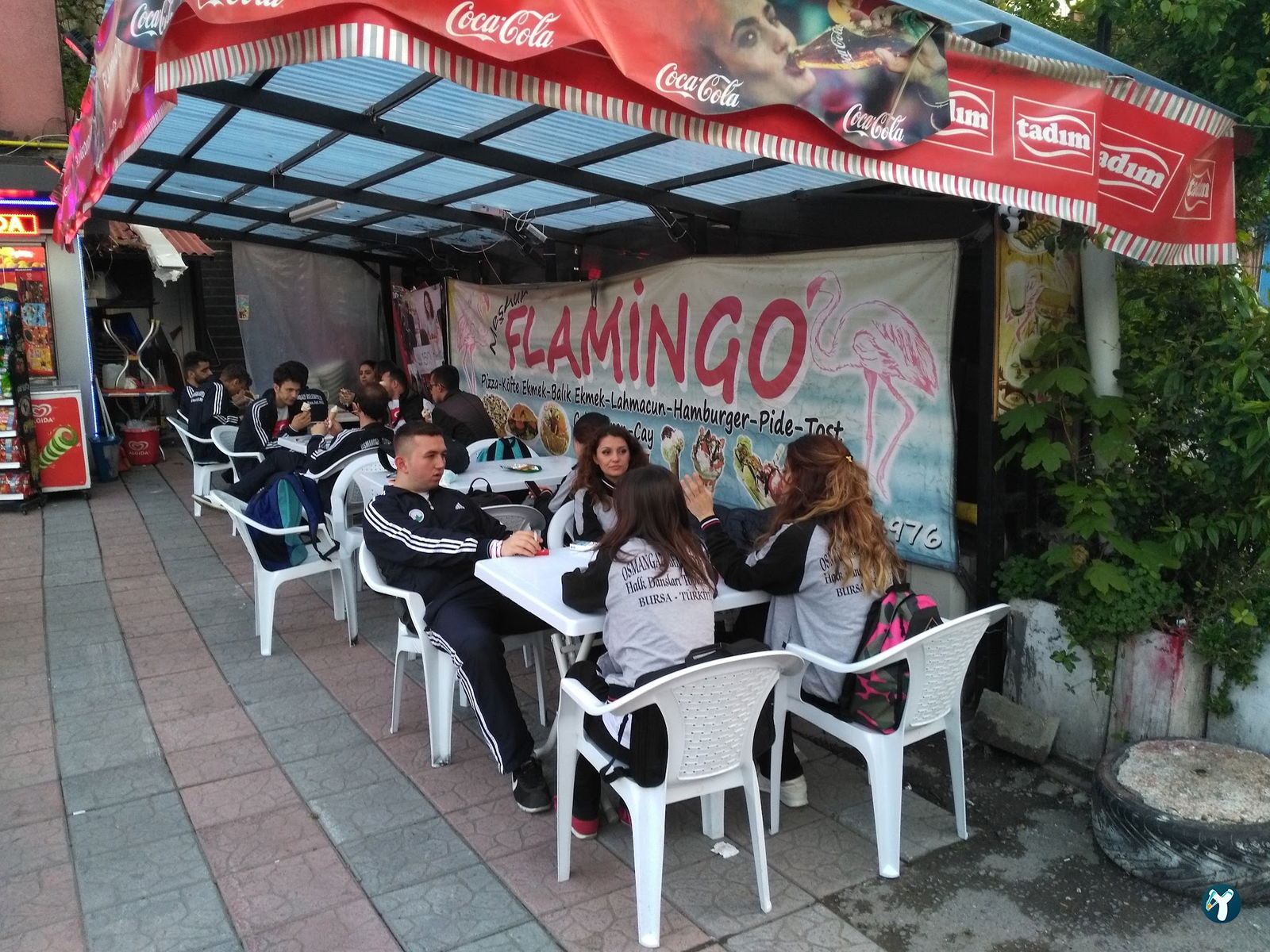 Flamingo Dondurma