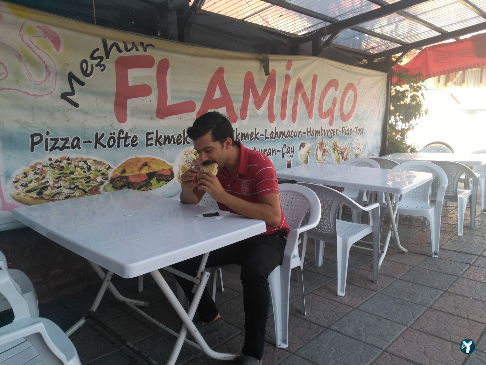 Flamingo Dondurma