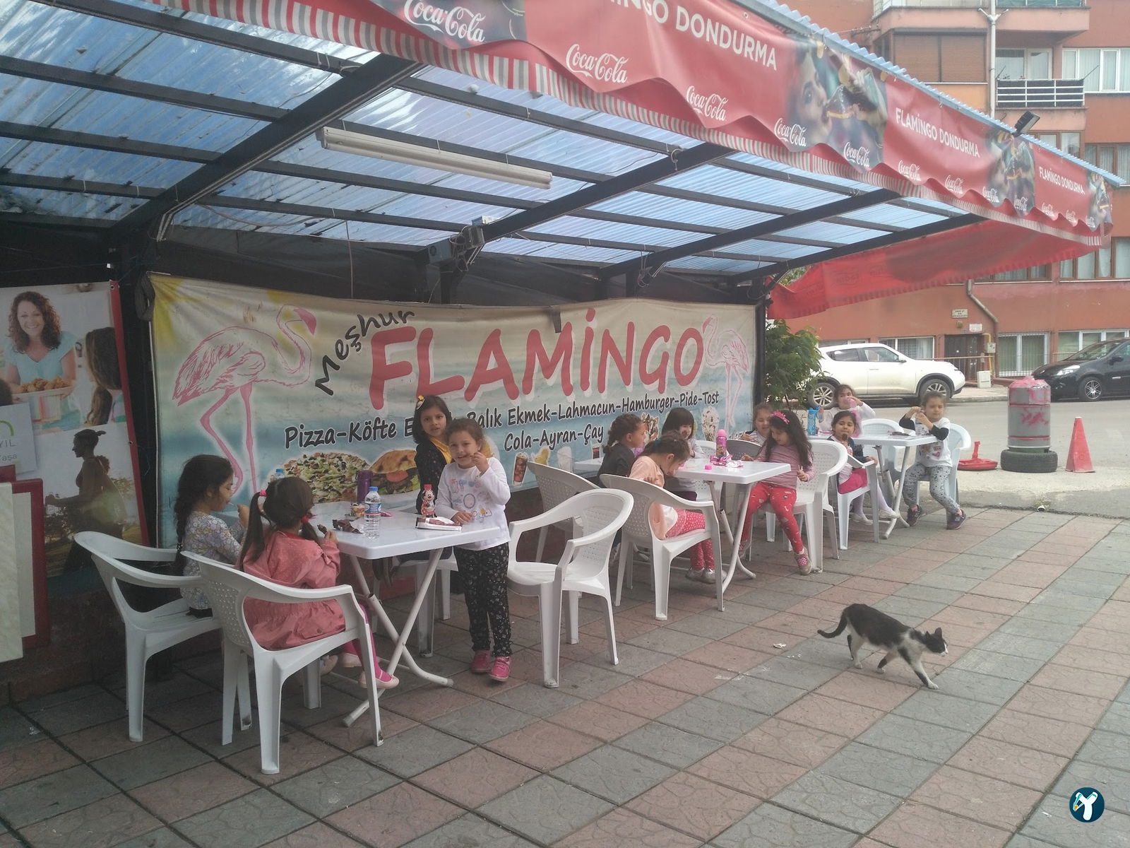 Flamingo Dondurma
