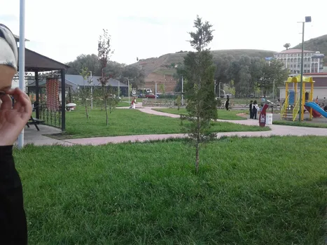 Öz Bağlum Sofrası resimleri Öz Bağlum Sofrası resimleri