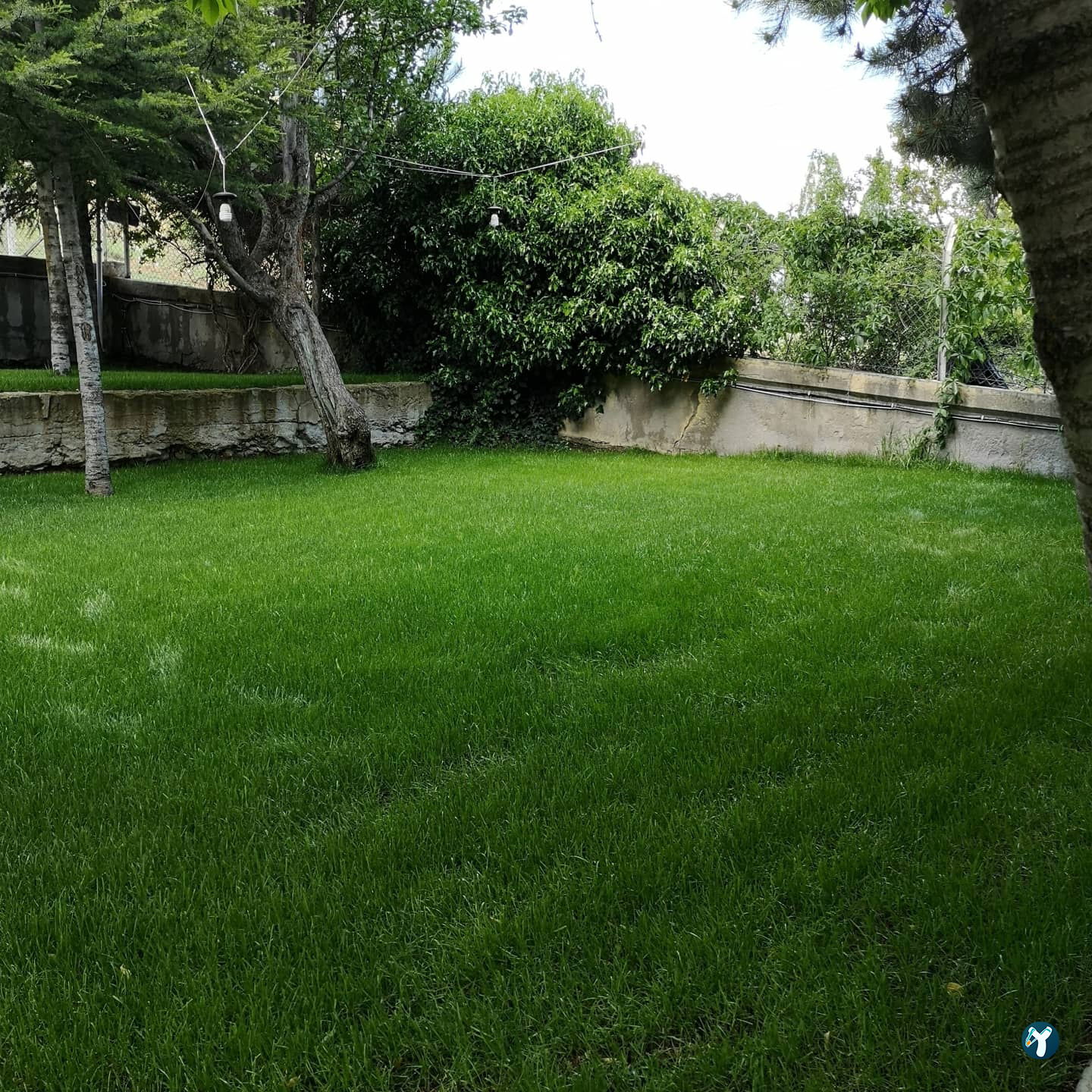 Öz Bağlum Sofrası