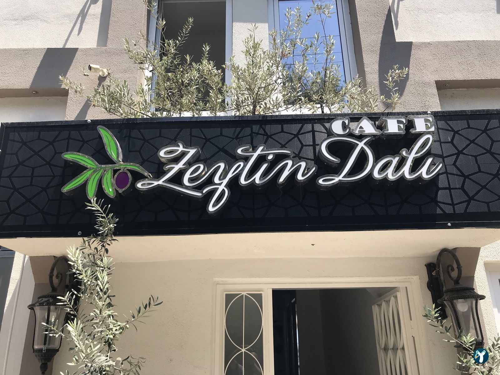 Cafe Zeytin Dalı