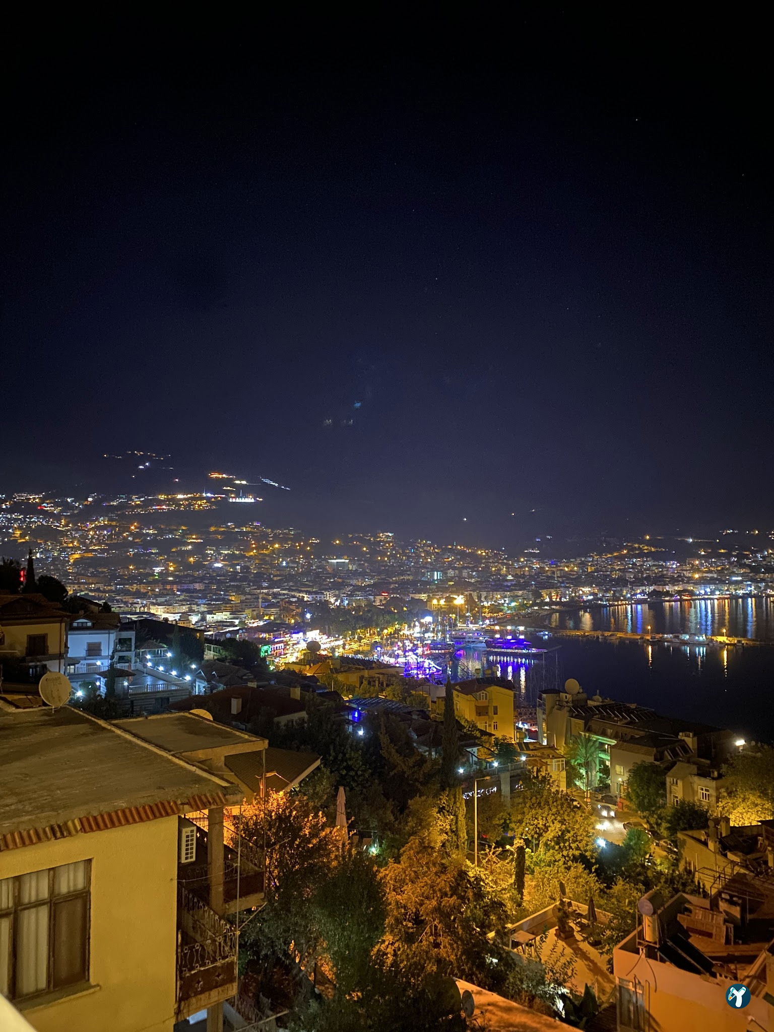 Cafe Zeytin Dalı
