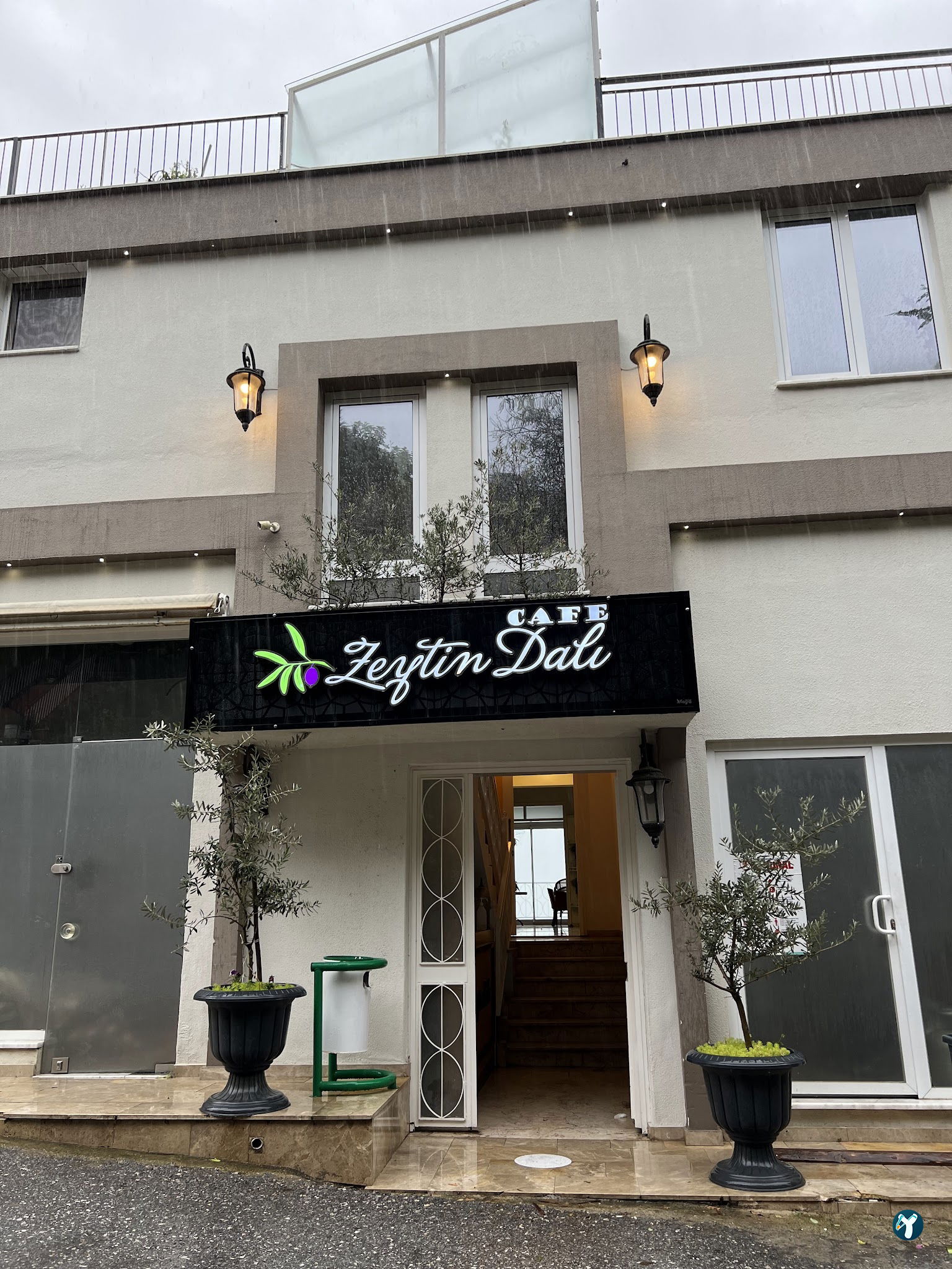 Cafe Zeytin Dalı