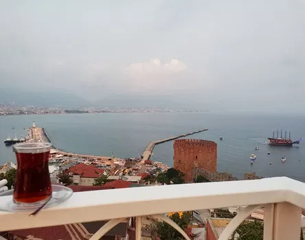 Cafe Zeytin Dalı resimleri Cafe Zeytin Dalı resimleri