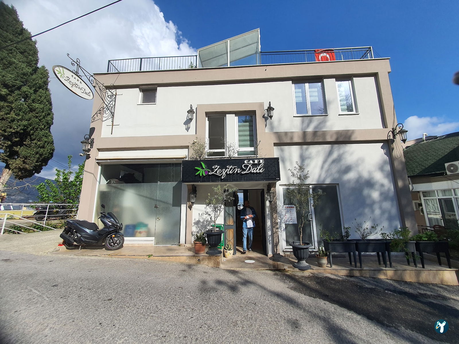 Cafe Zeytin Dalı