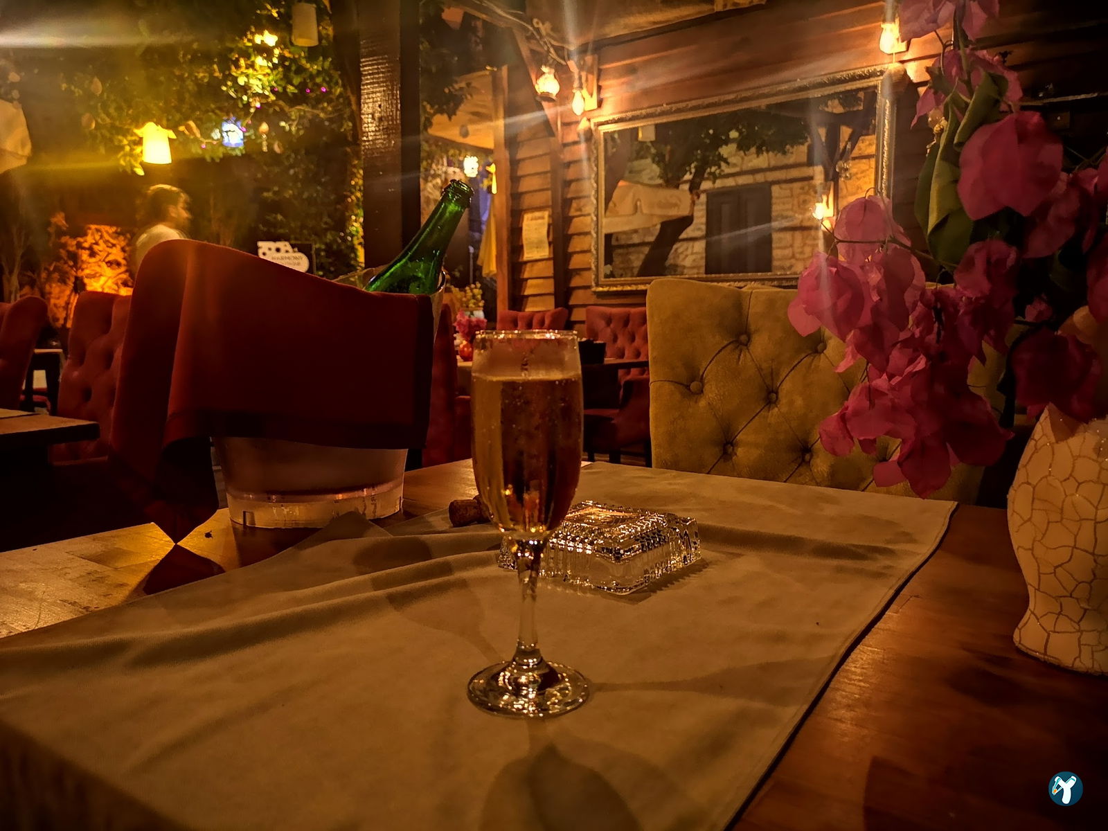Cafe Zeytin Dalı