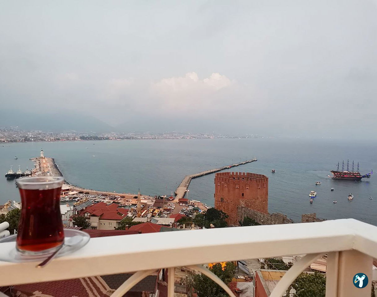 Cafe Zeytin Dalı