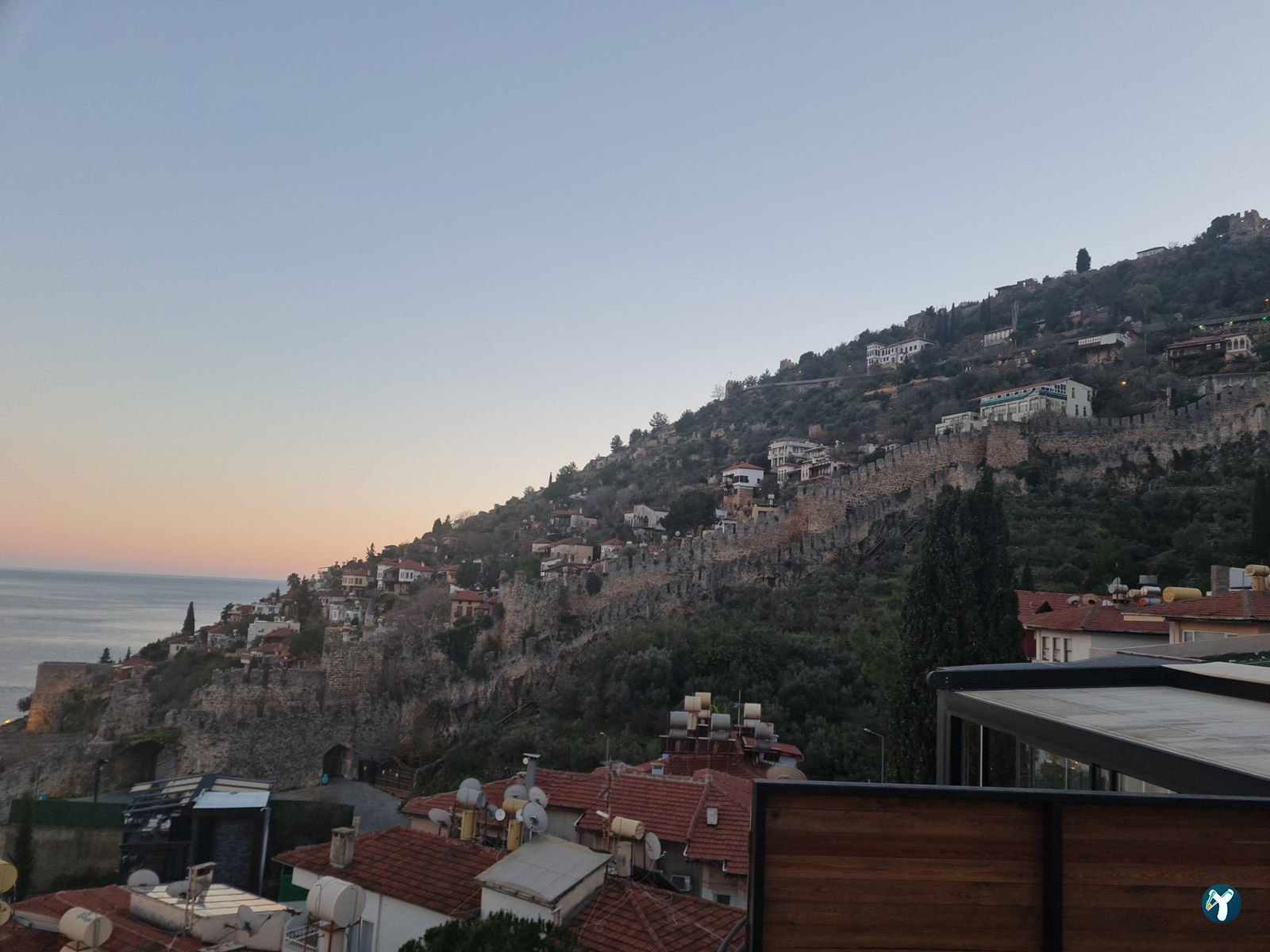 Cafe Zeytin Dalı
