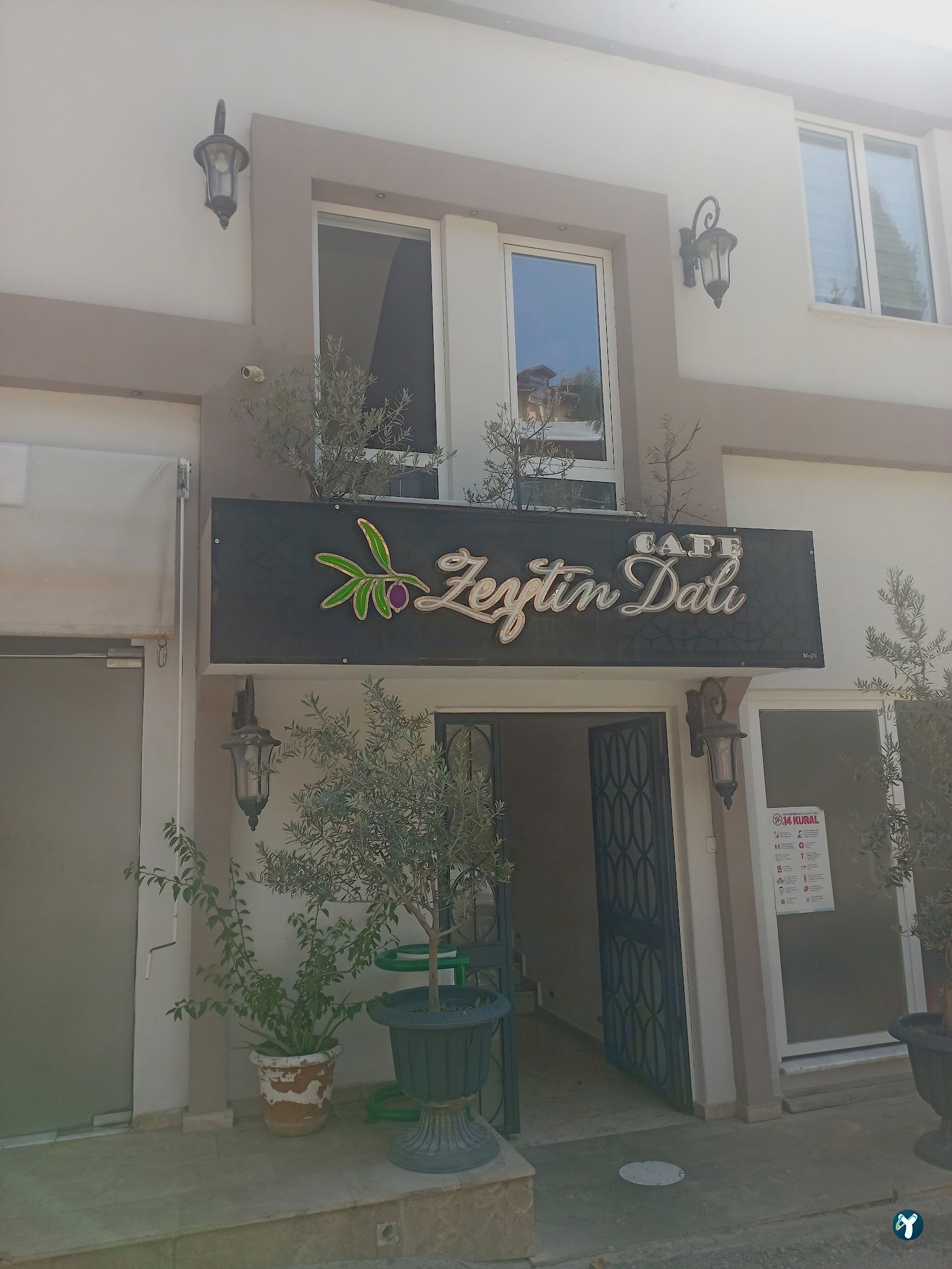 Cafe Zeytin Dalı