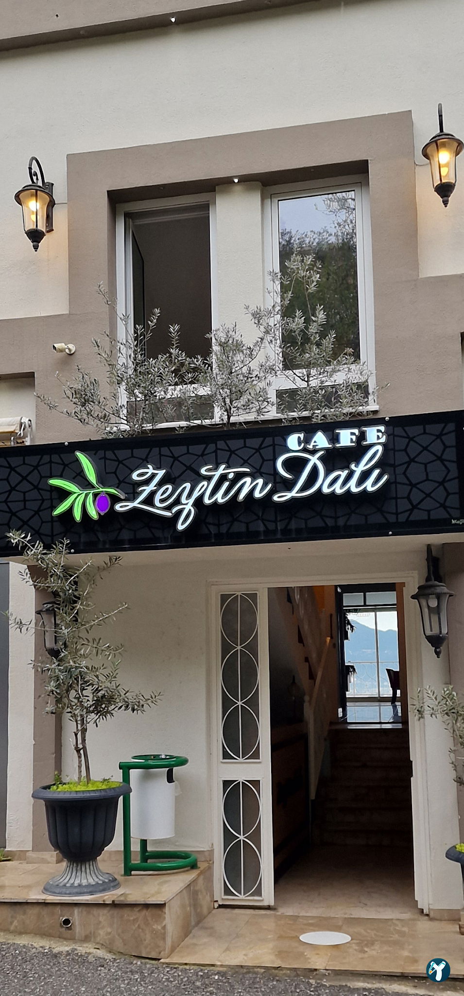 Cafe Zeytin Dalı